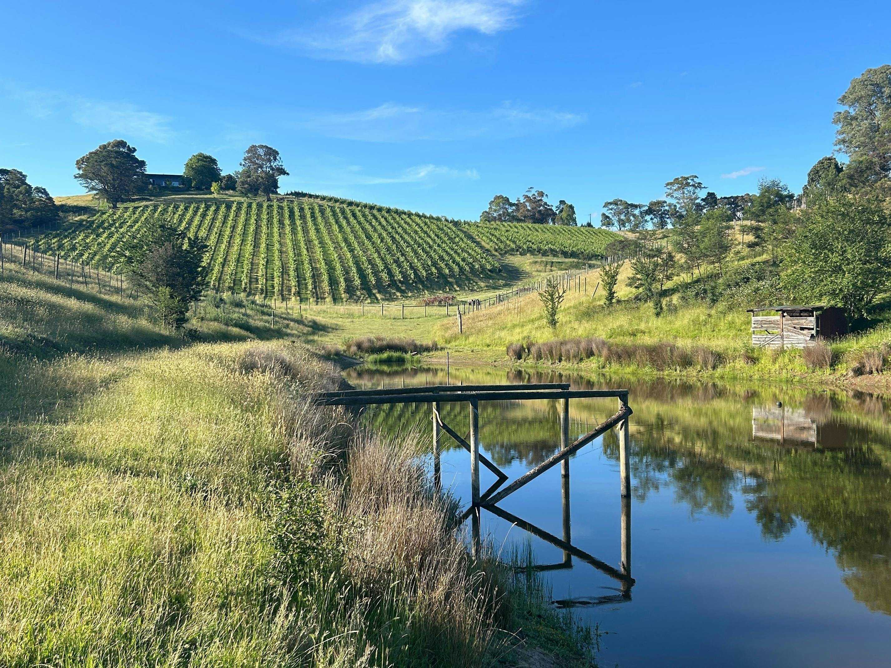 C5188Cf84202Bfbcbe409F37D202C3B9