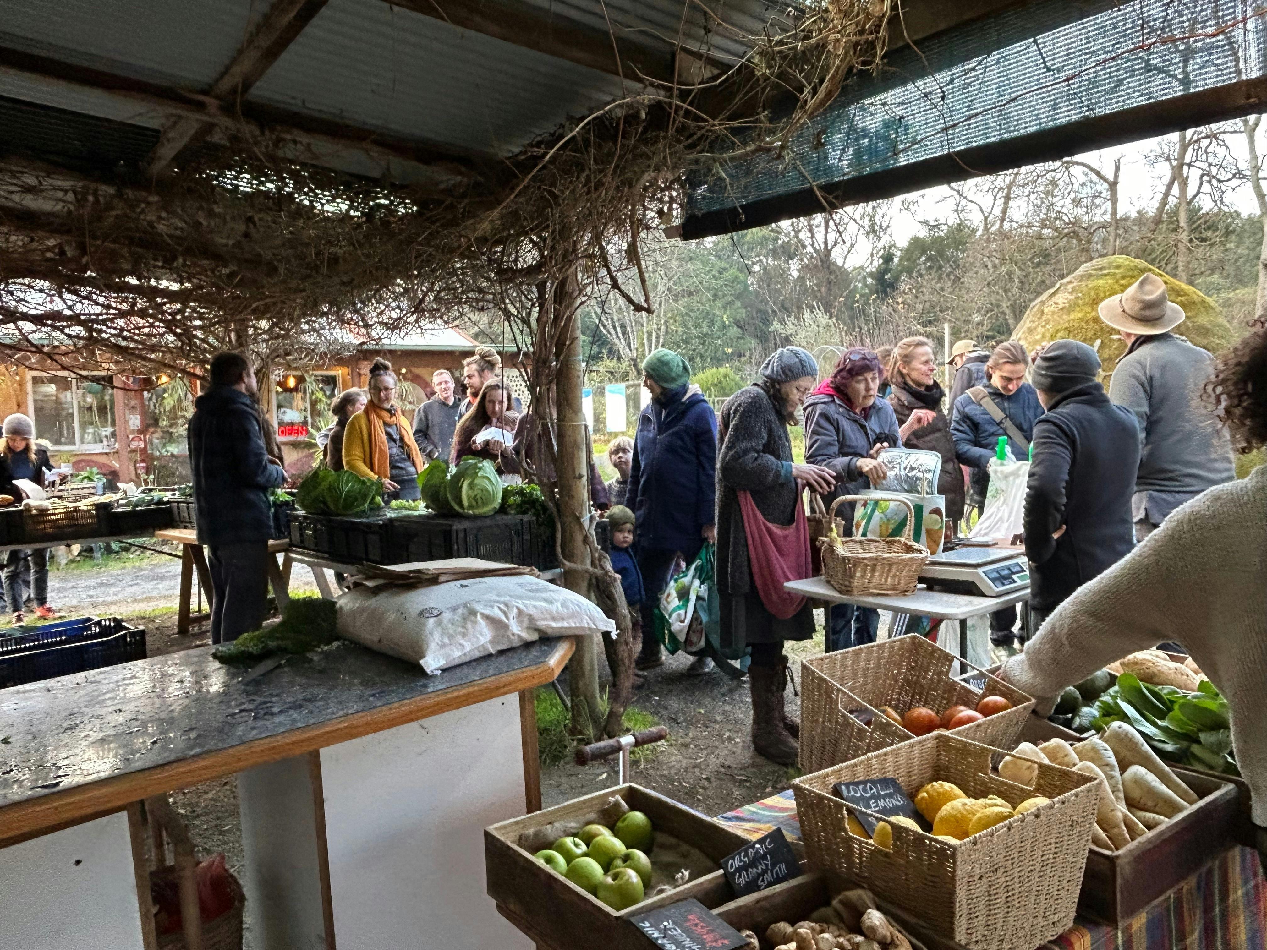 C7Cd6902B3570246A9Bf1B90F7468153