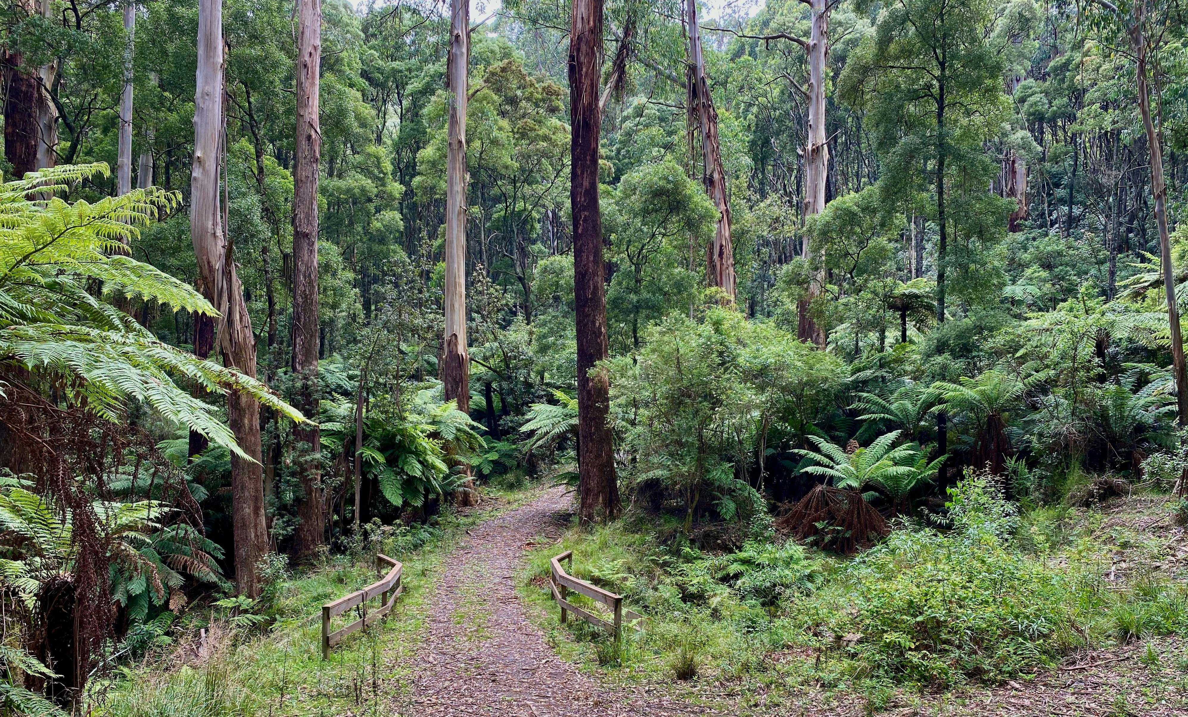 C7D5172791B9C342171D30A92557597D