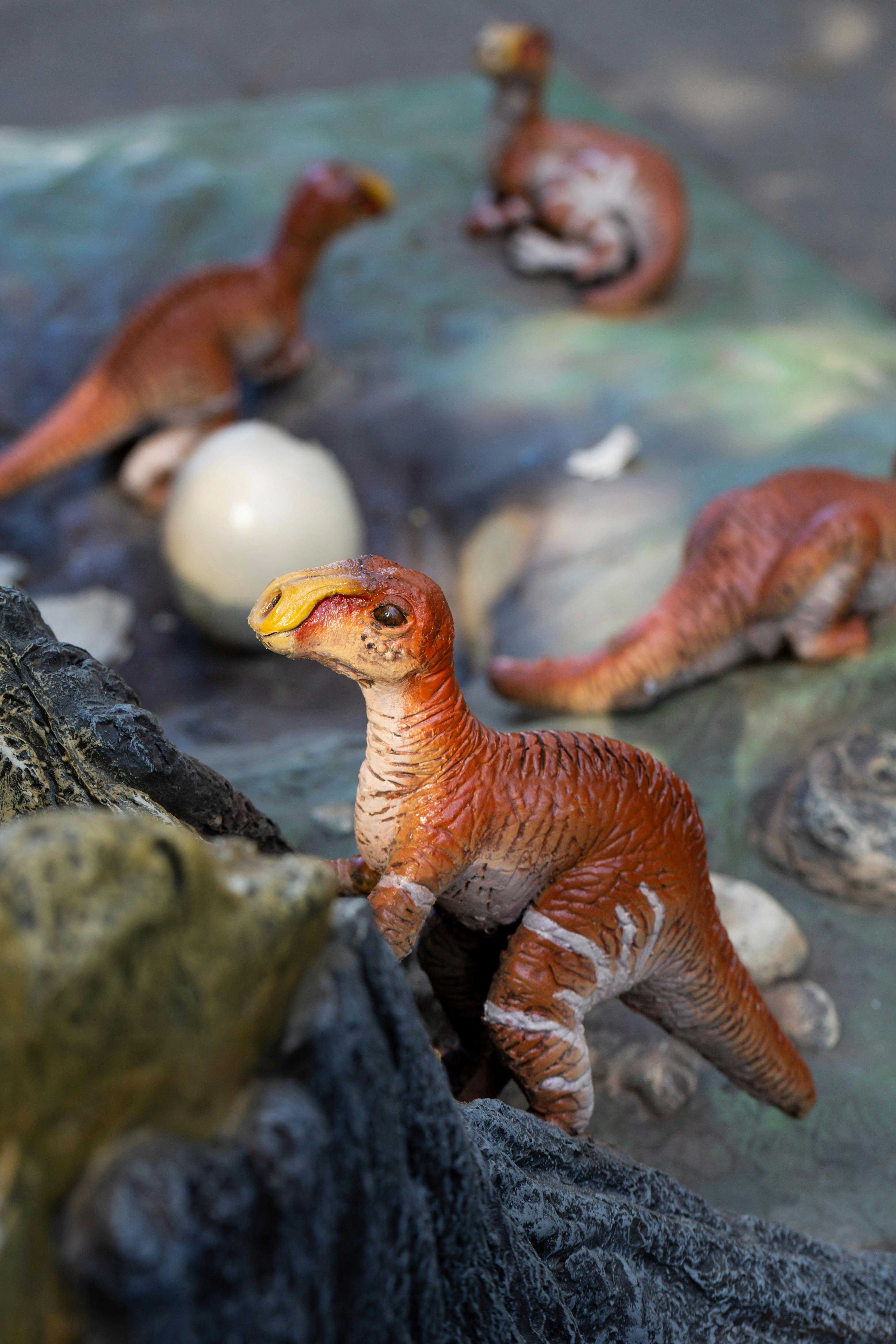 C7E64535D715Bd33E0B8977018435A7B