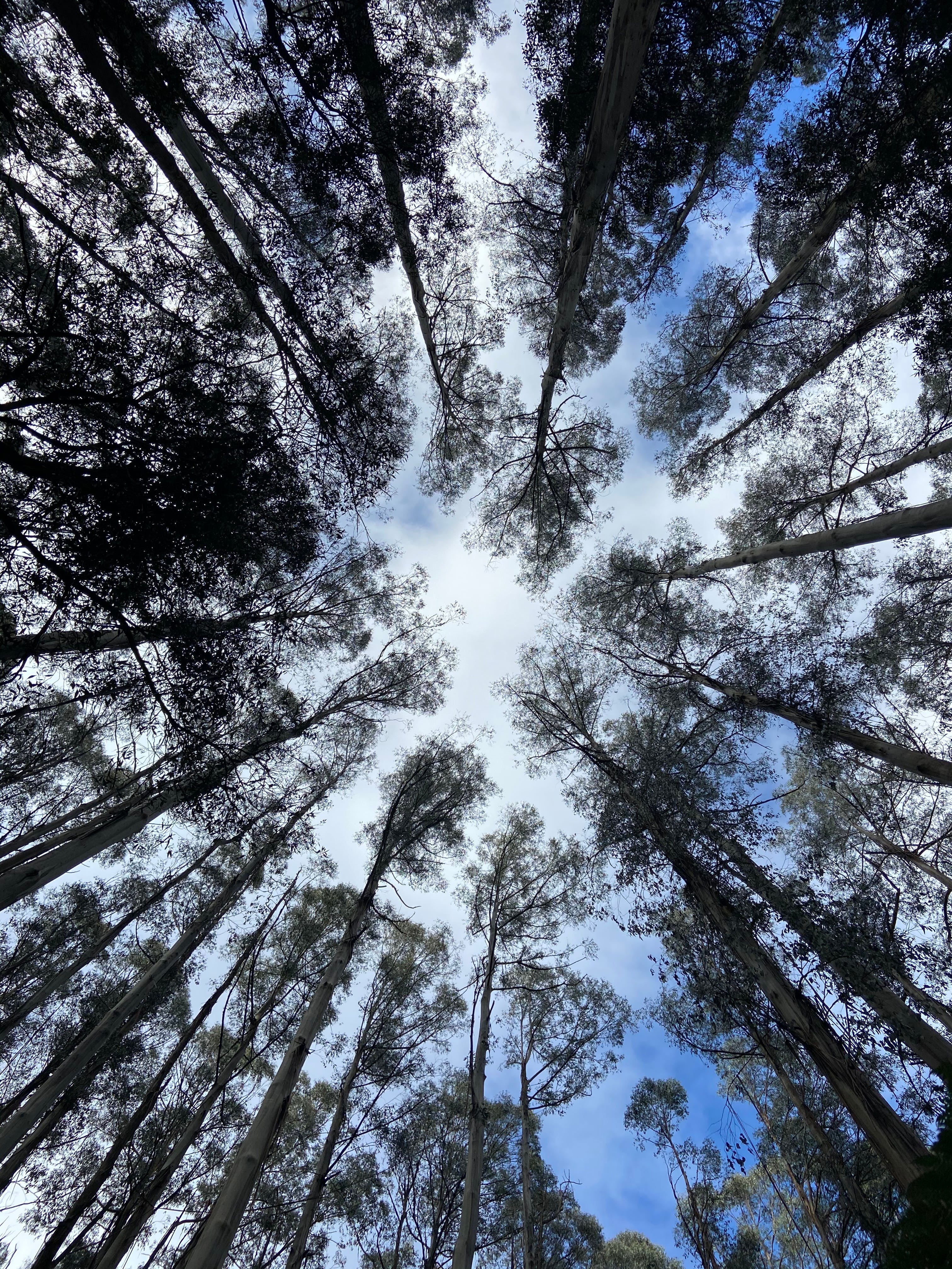 C80Ac24D240C9E81B8F3698Bb9C5F2B1