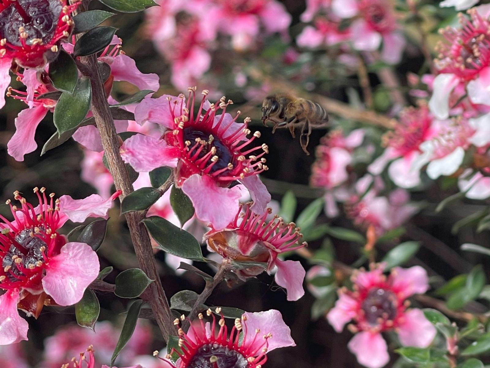 C82E1750103Aff9E68Ab2Cabb94Ec151