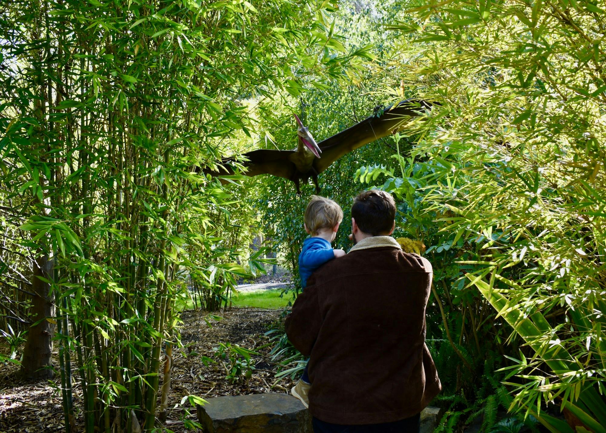 Cbe1138B98A331Eef87A226A48Bc4255