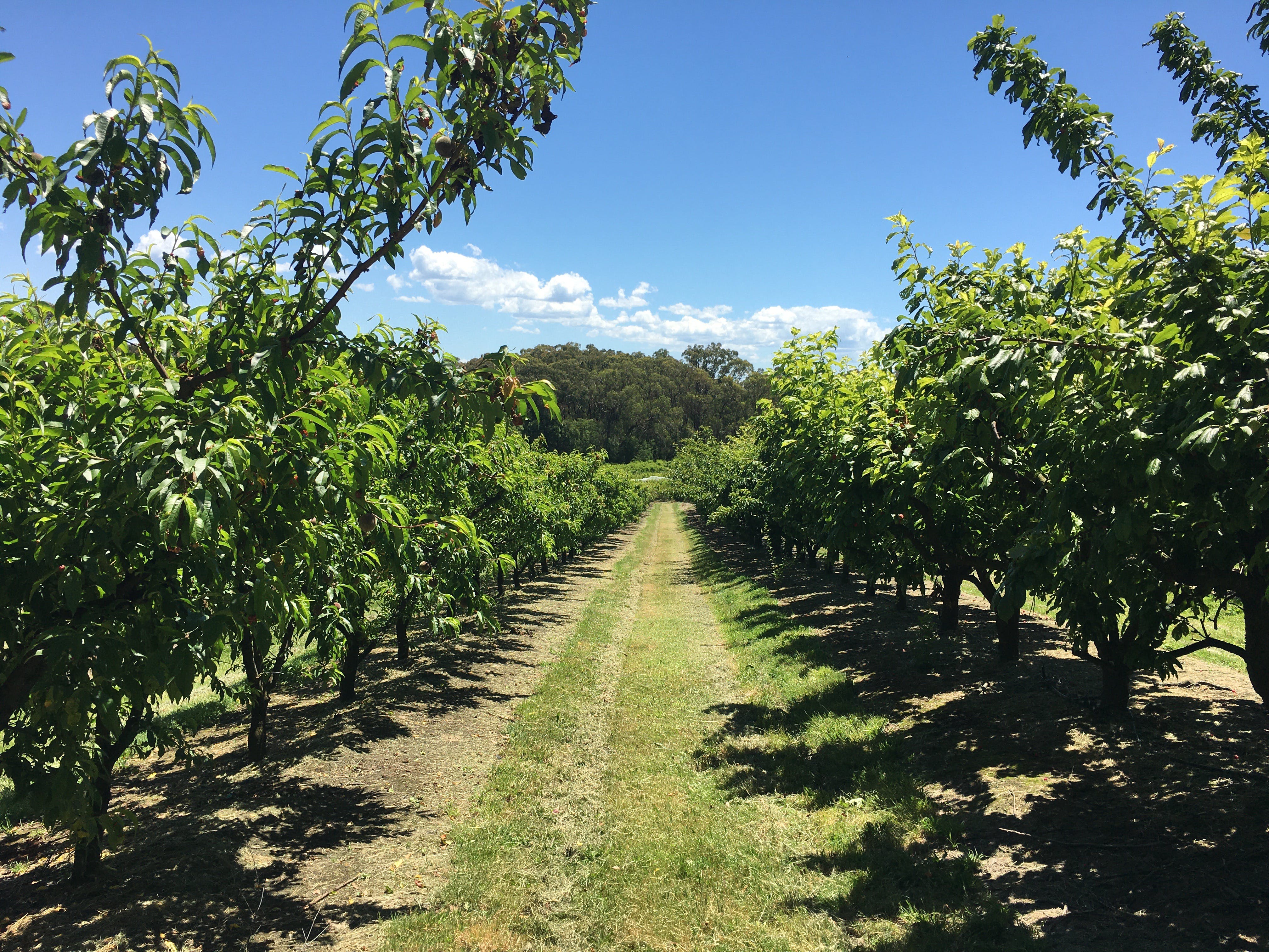 Cc7C49C754E56Bd04971Ce40Ced2133B