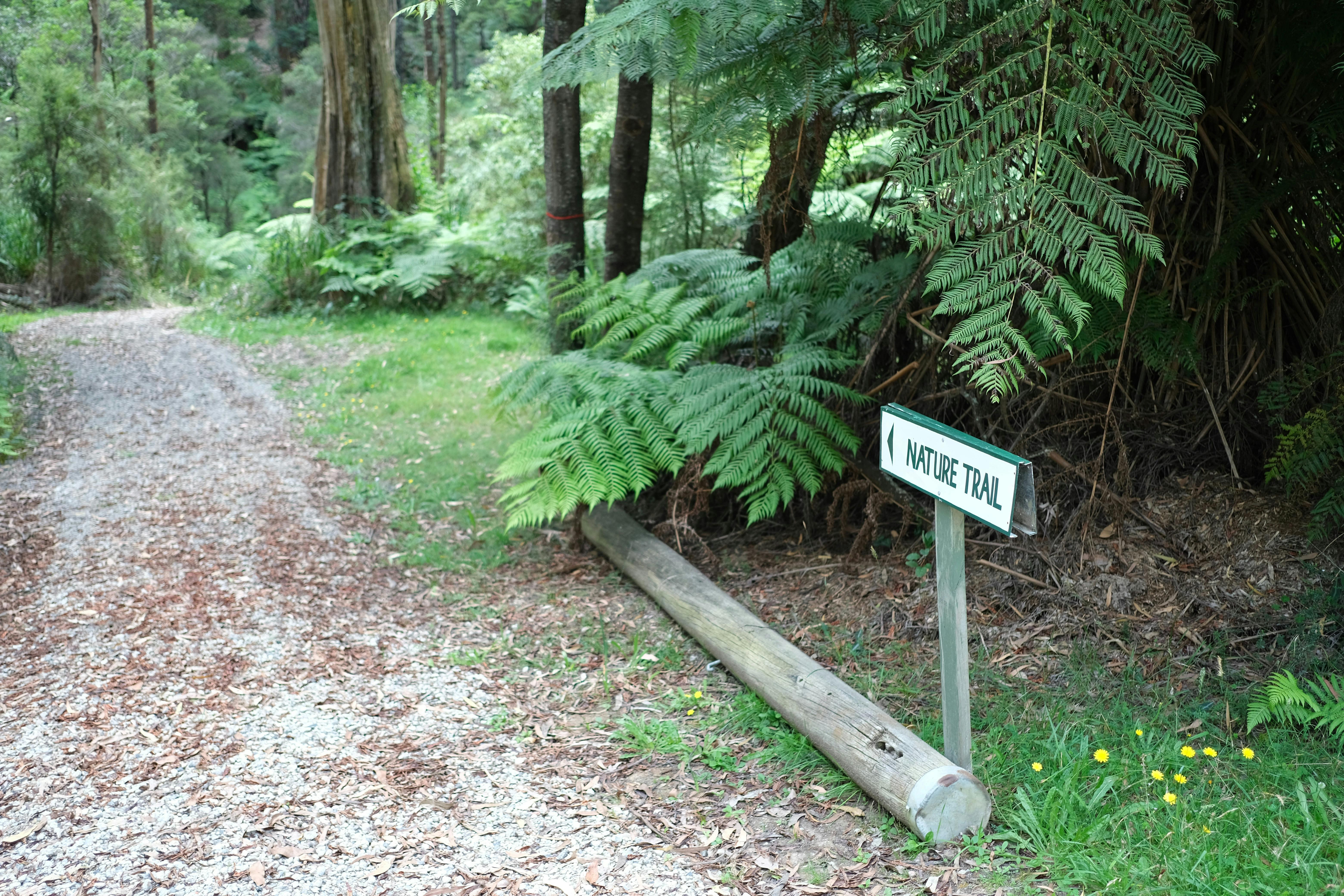 Cc9Bc33C16A357B994941453890C9182