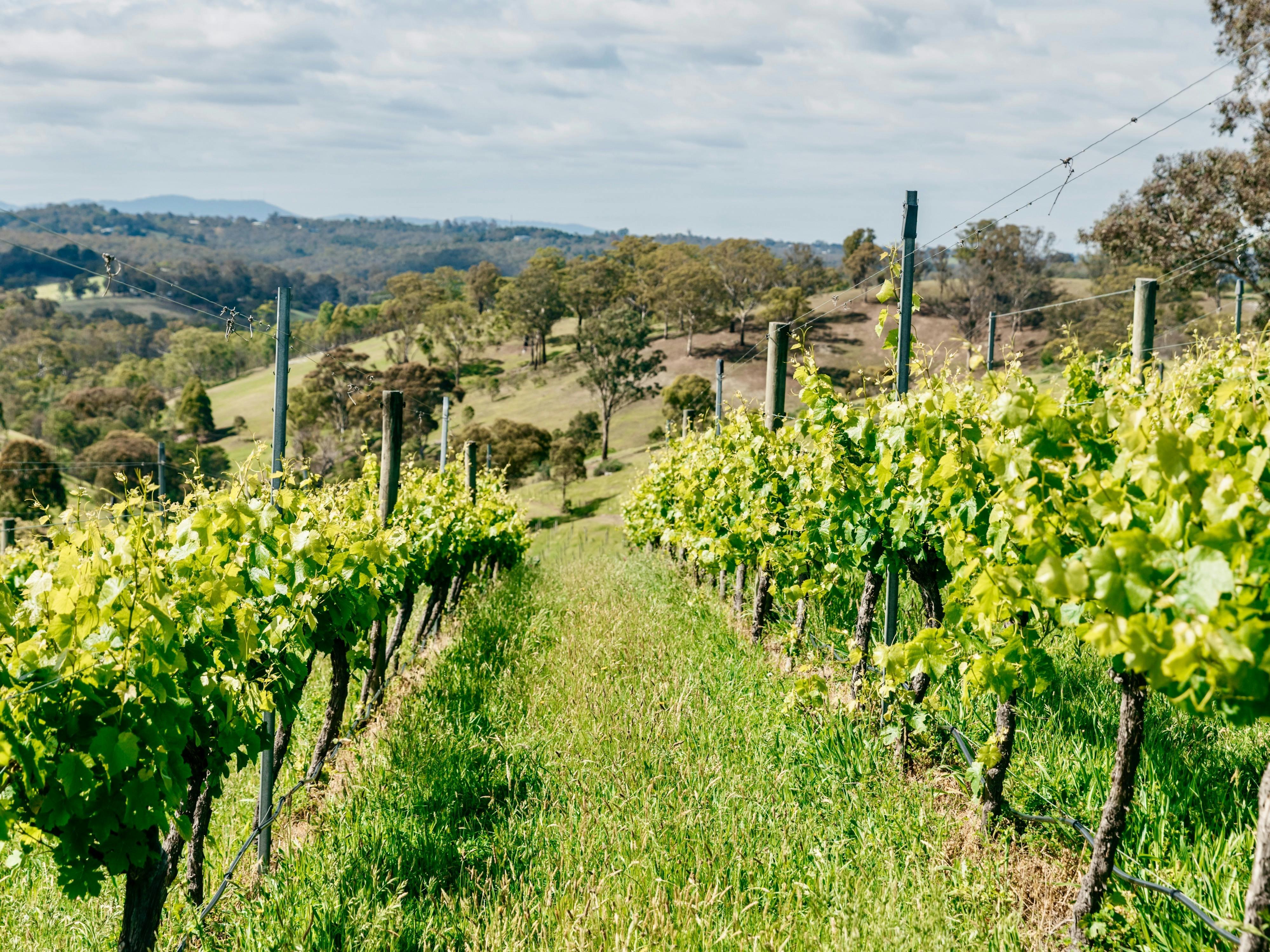 Cd999F0495A3D59885Ed516C038E8B75