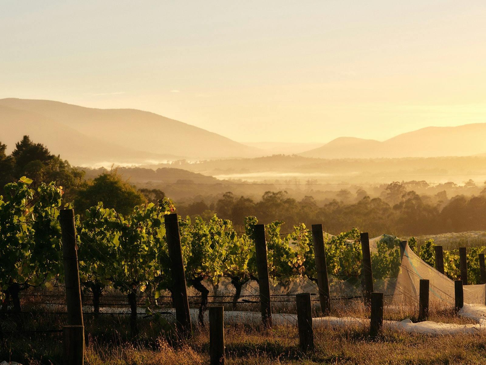 Cda1D7051E5A3836A17A7Cce4F8571Eb