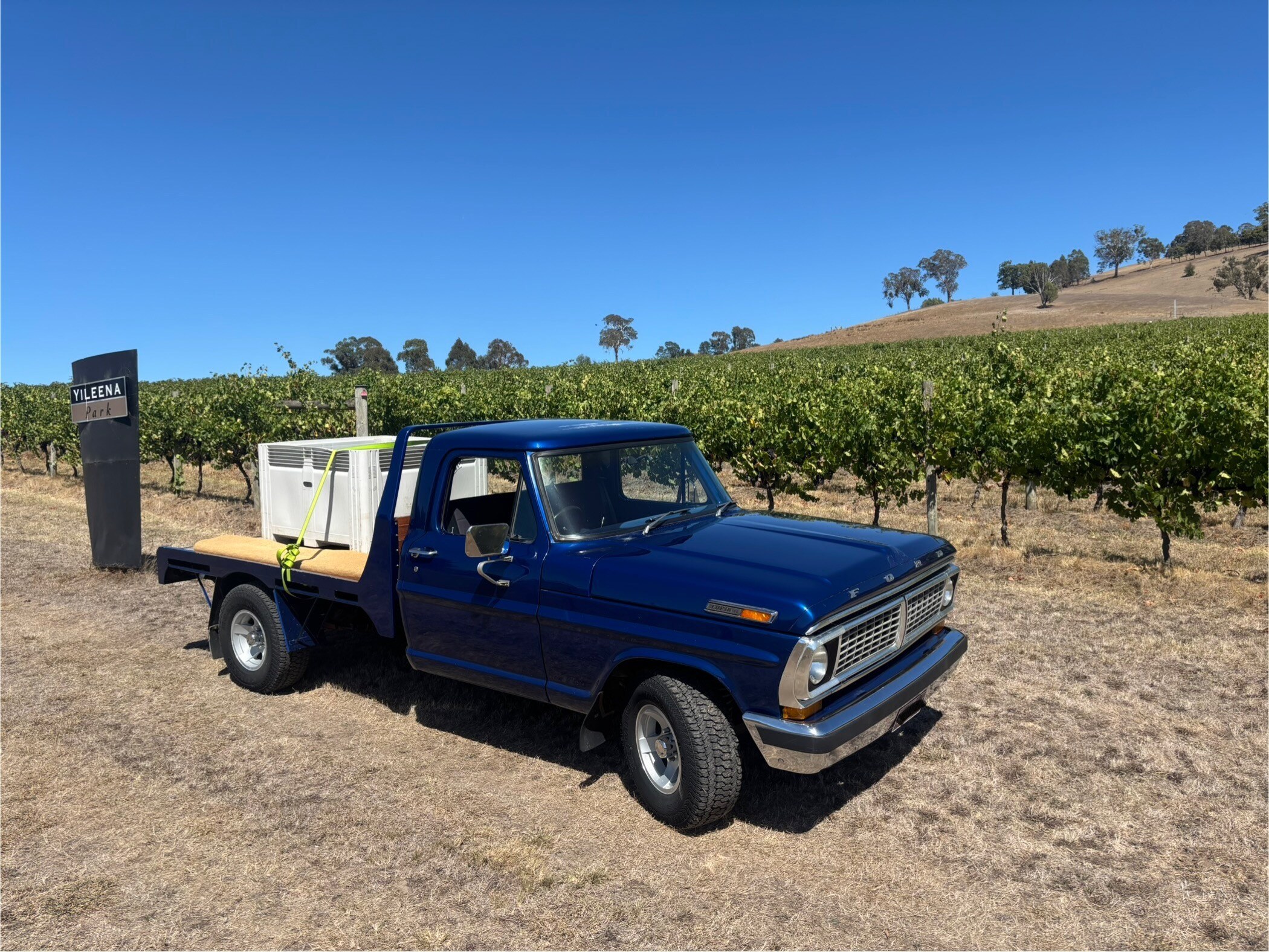 Cf38b9a6 f377 424d b038 ae94e1b11f1f partners social media upload image IMG 0921