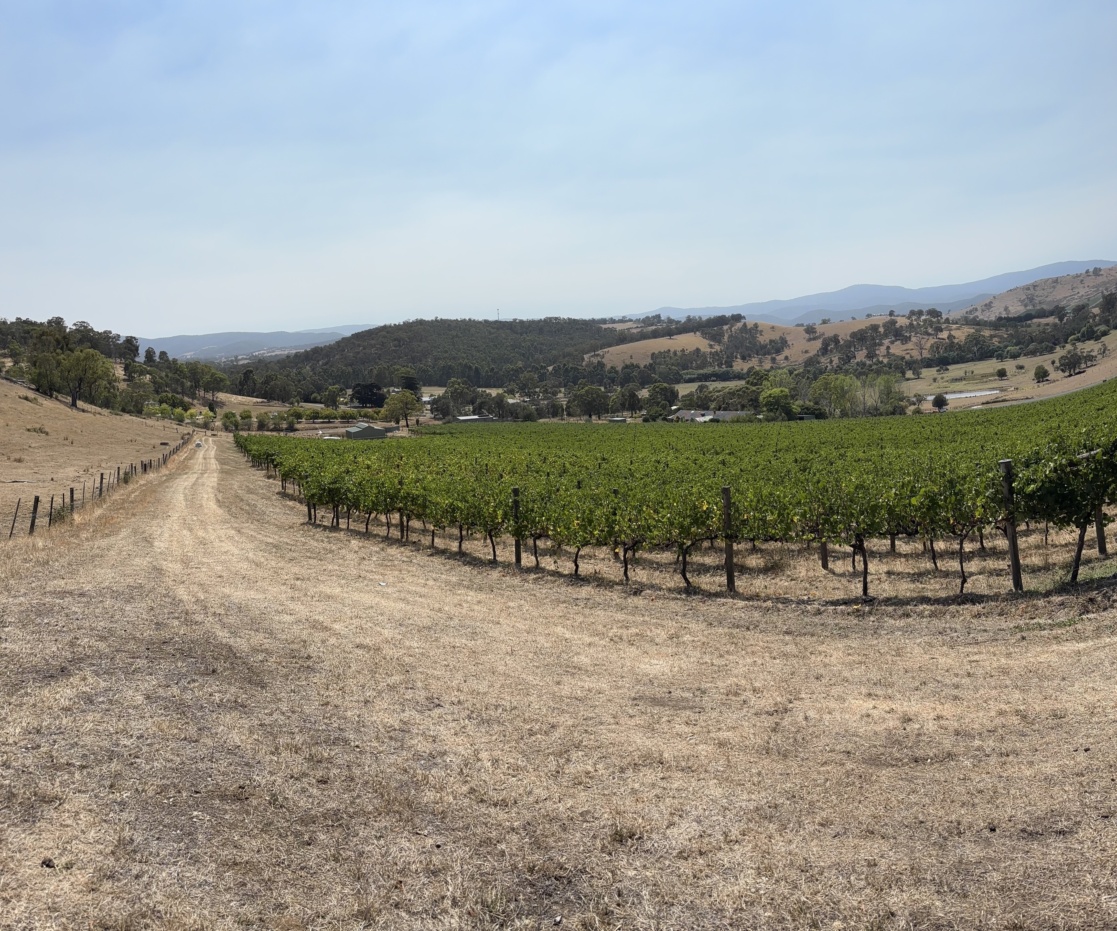 Cf38b9a6 f377 424d b038 ae94e1b11f1f partners social media upload image IMG 6154