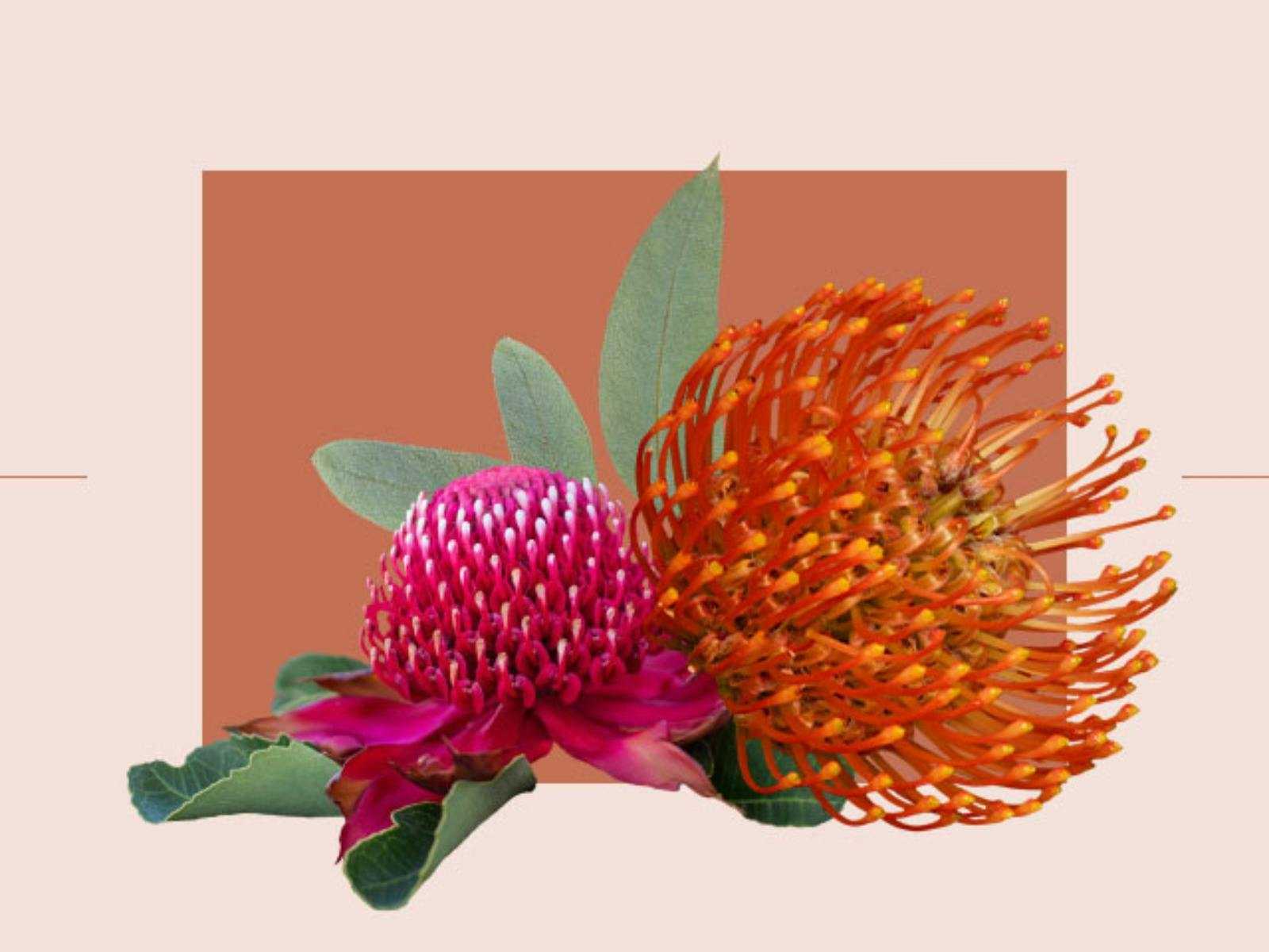 D0E3B2C018B69Bfa6A691Fc681B95A24