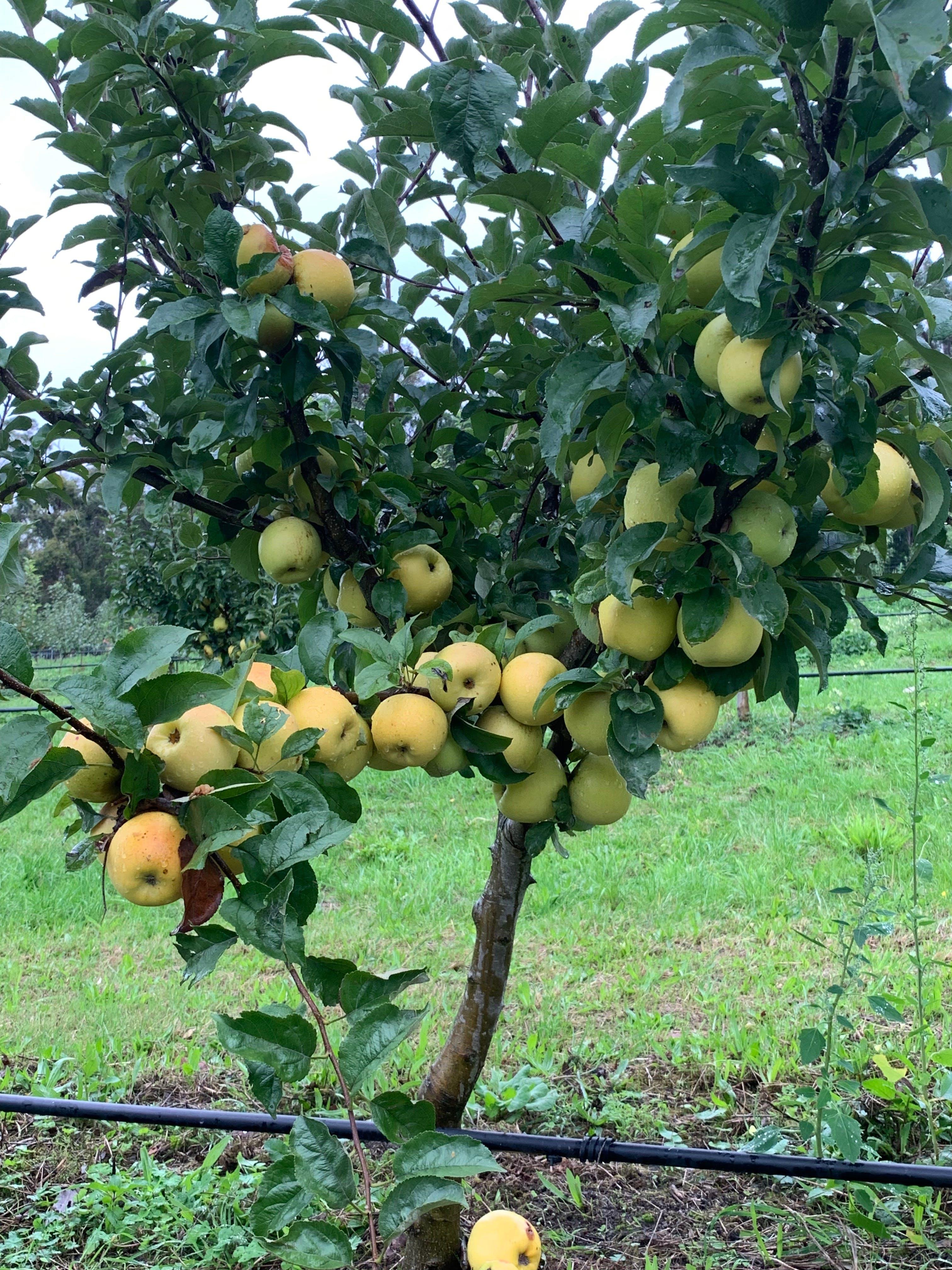 D185C69C8Ea774665D75Ddfbb9Bcf17C