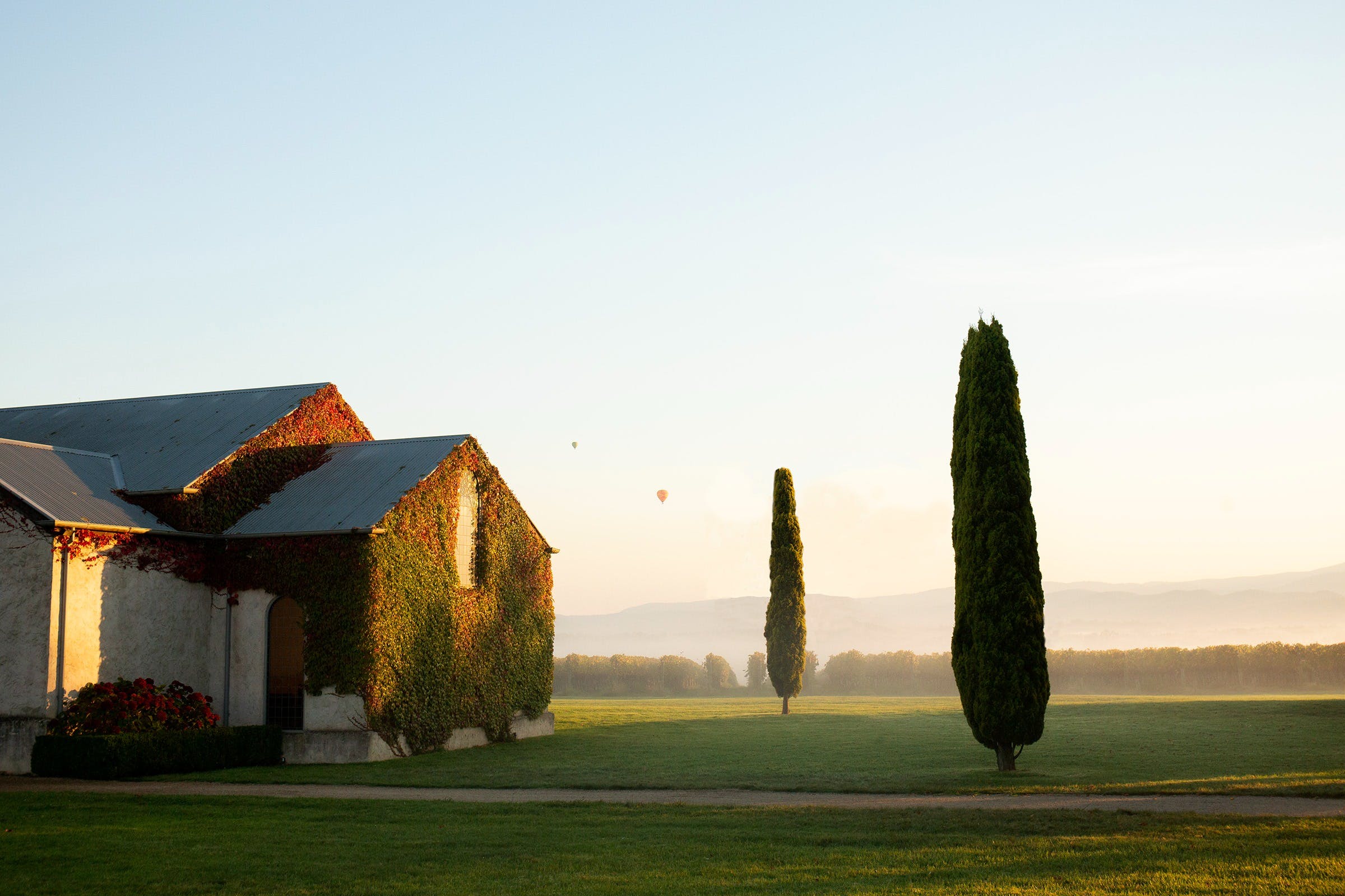 D1Dc0Ef98A853Be4Ee15D4A58Afa510A