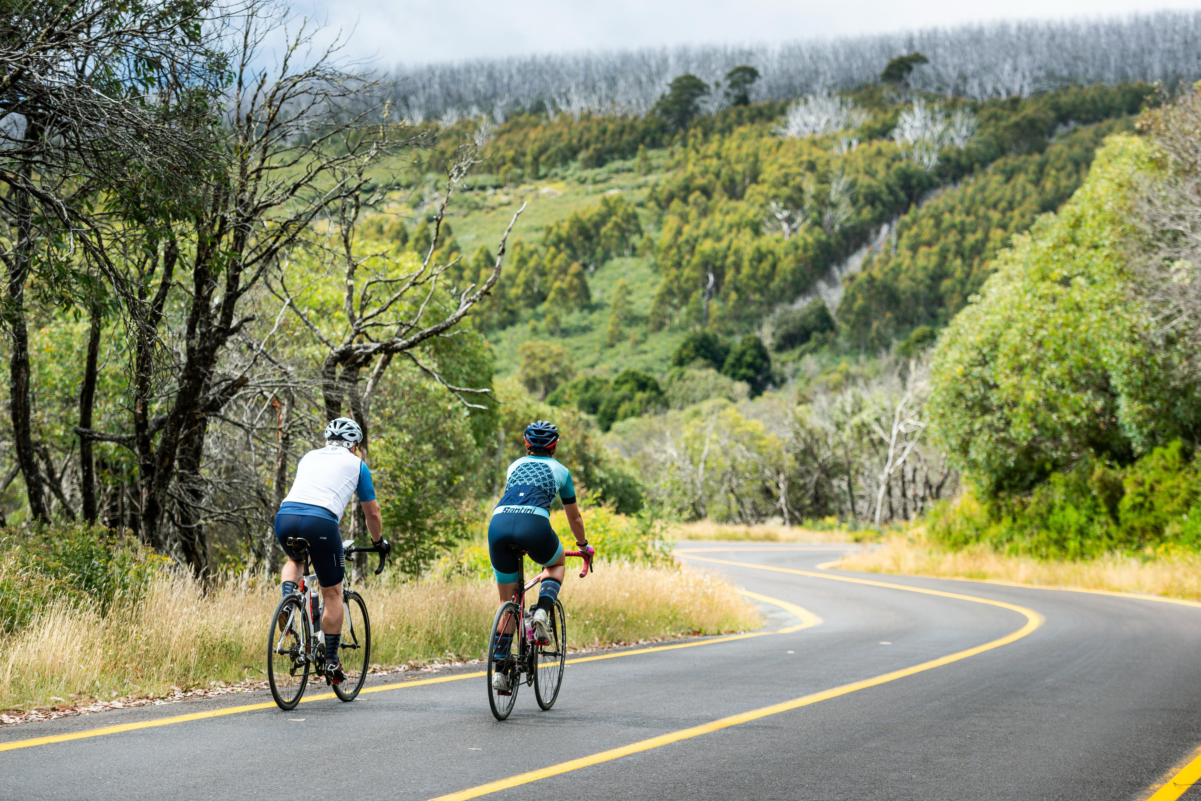 D24Fcc7591540A13C56C80Da897B1406