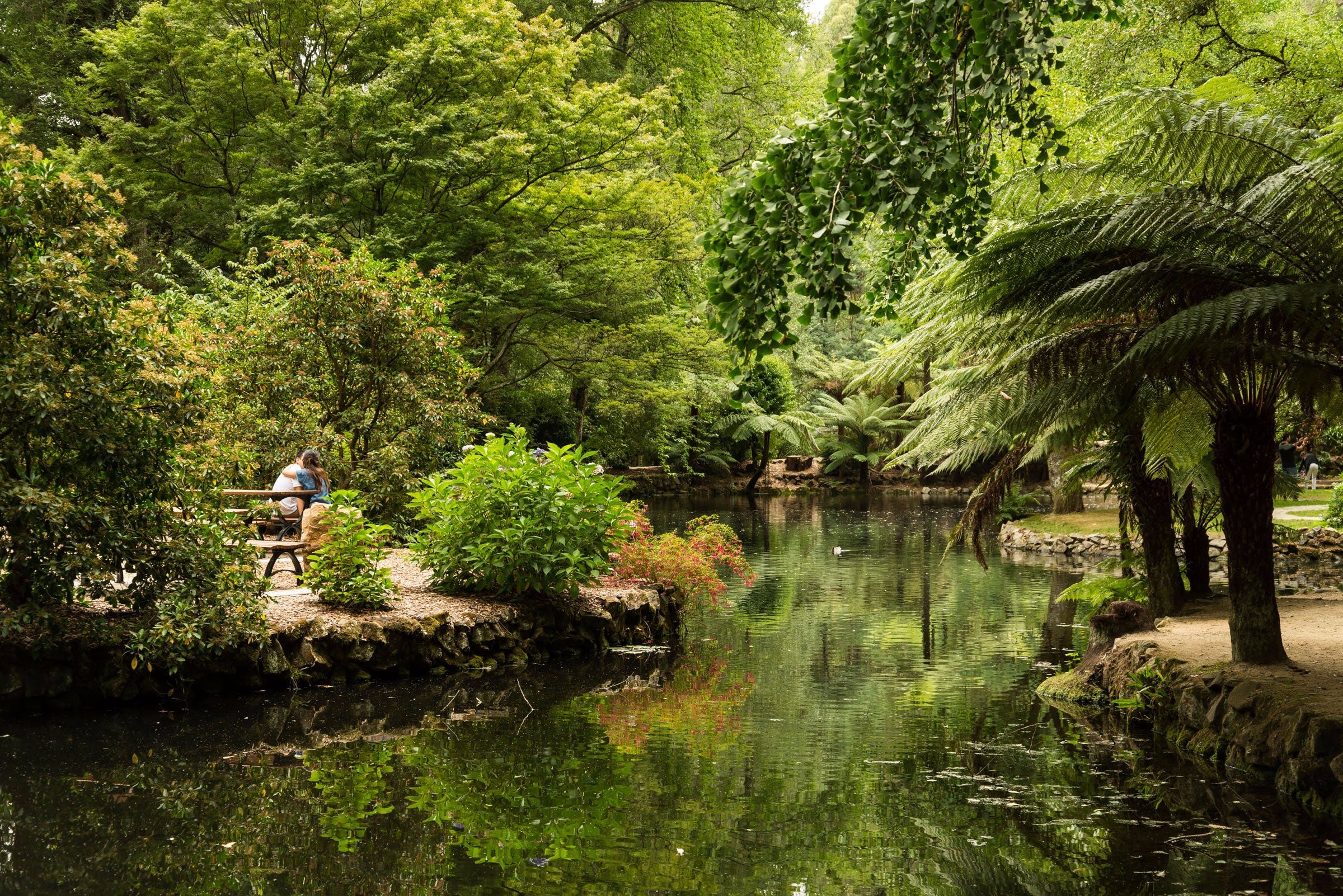 D265D98572E210Bf5103A15D14E48626