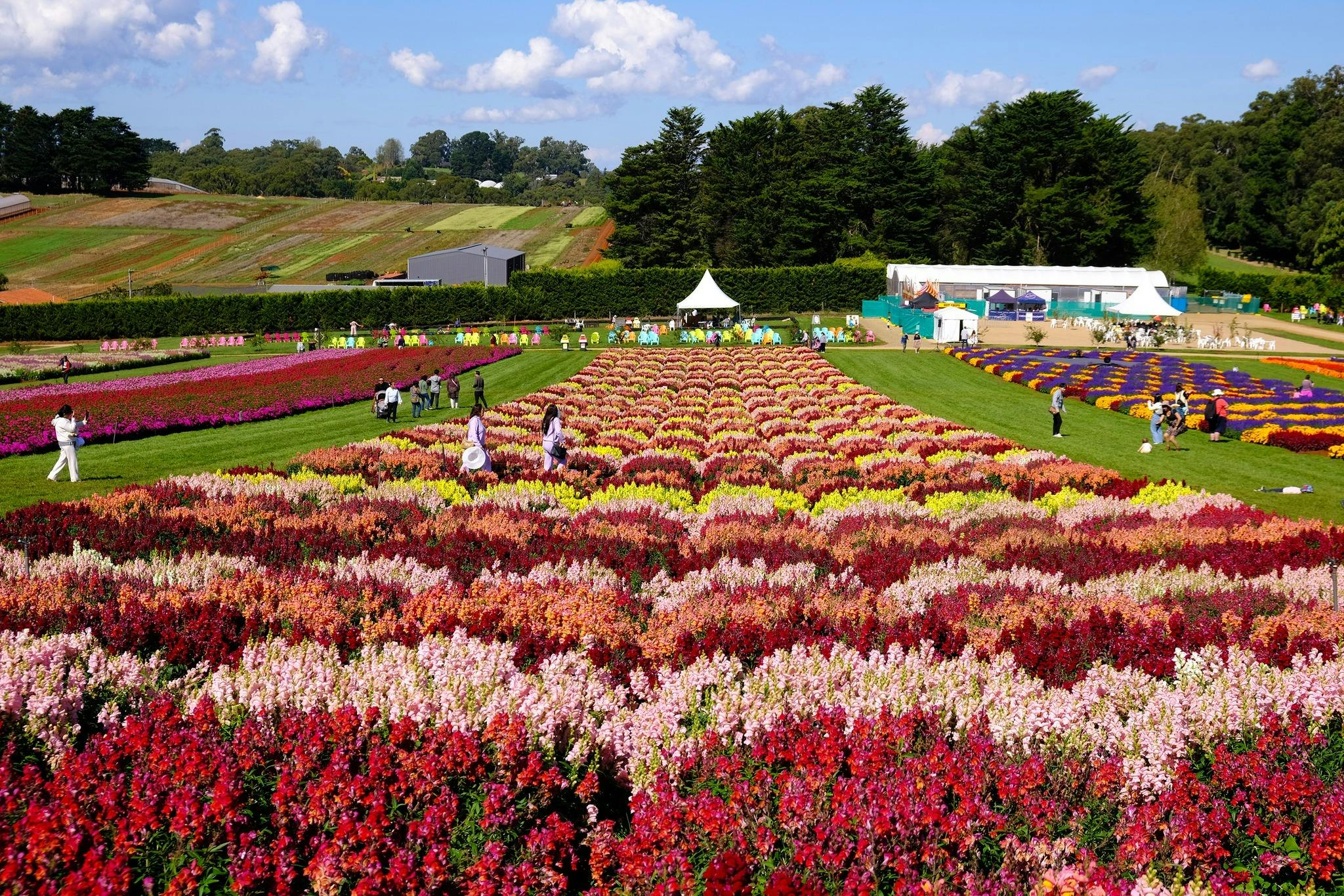 D2F1C4C816246C7C01632E855Abfb302