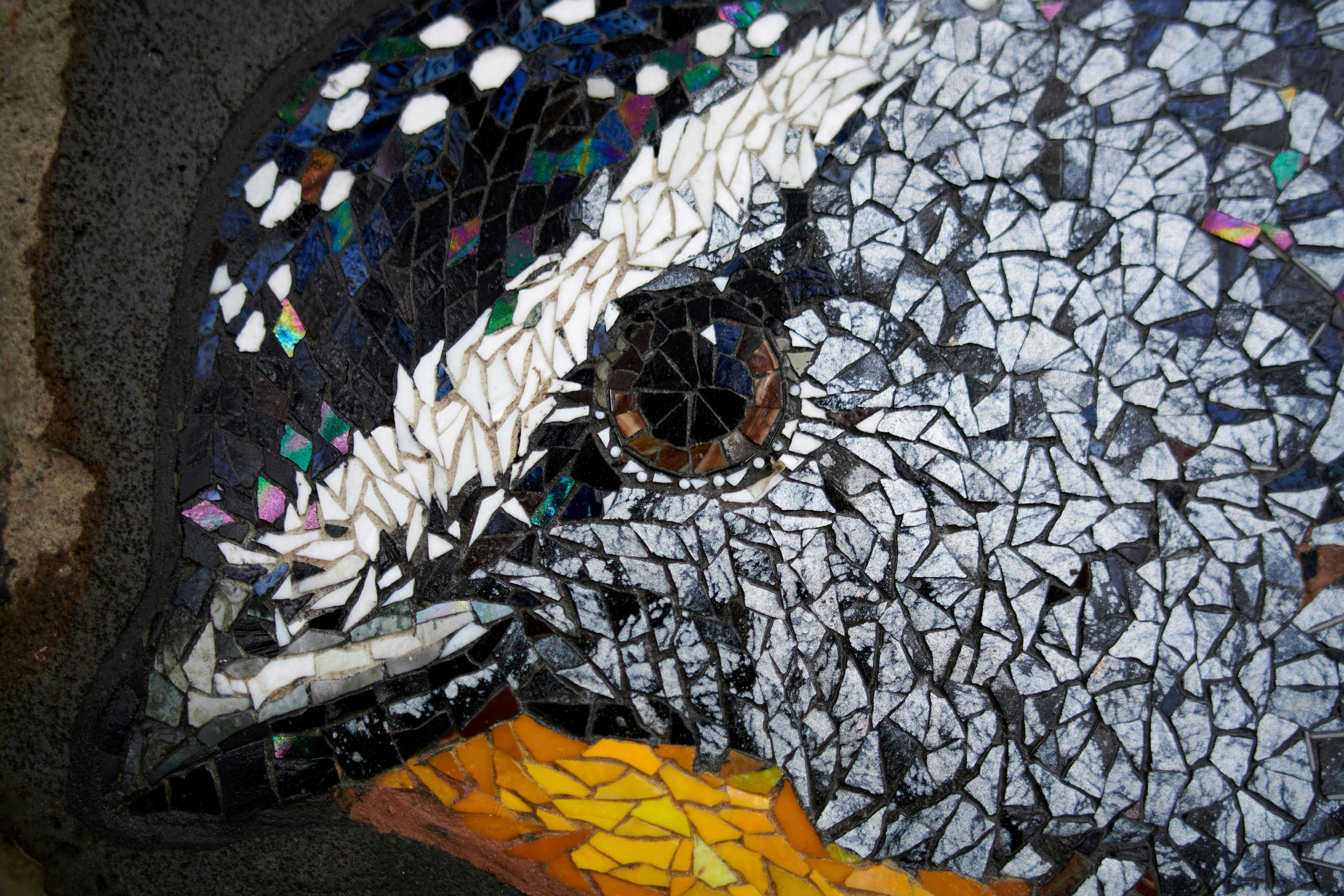 D38E9D2350731366D1A2272A8113D6Ca