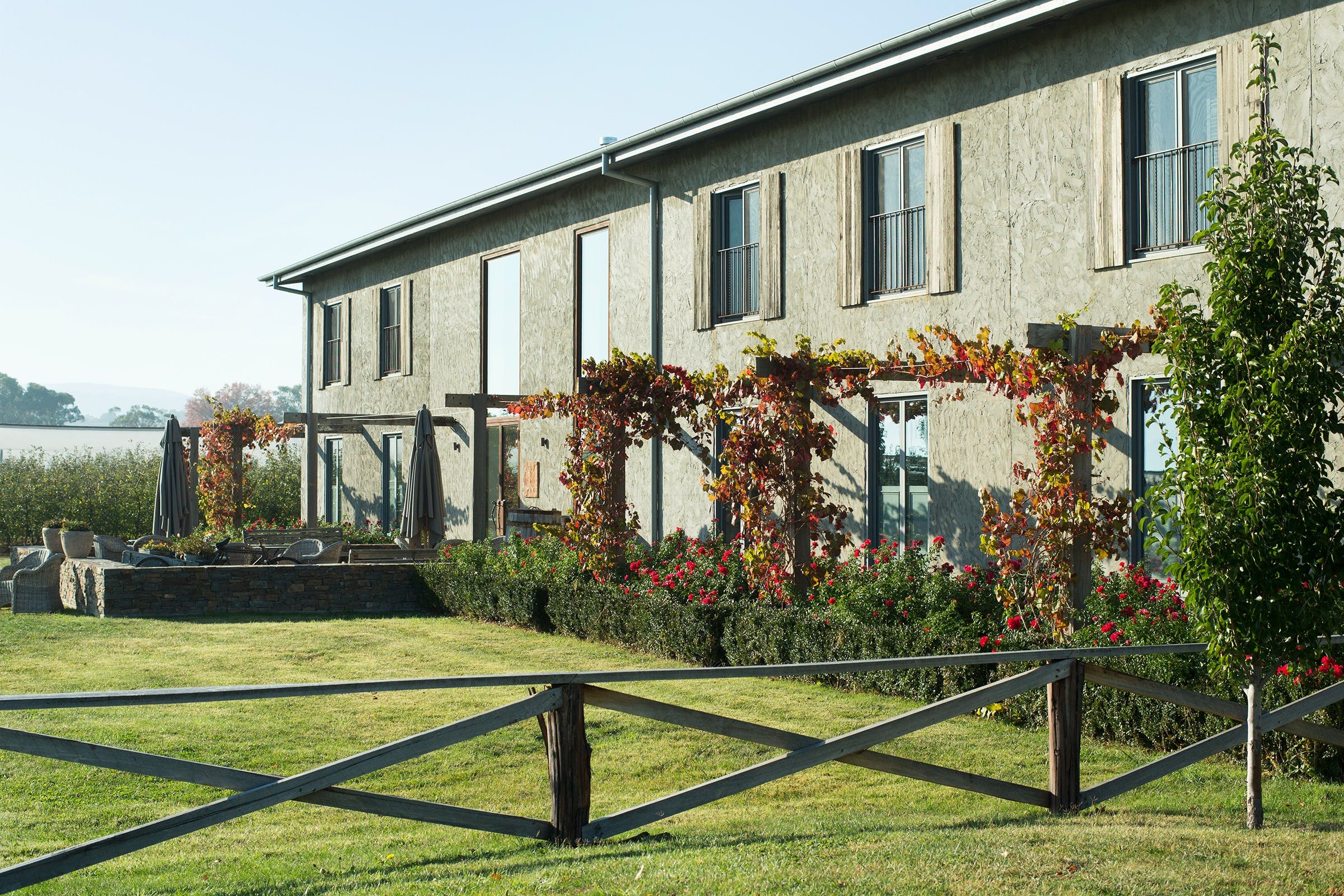 D4Bd33098578785A71988E2A31Bef4Af