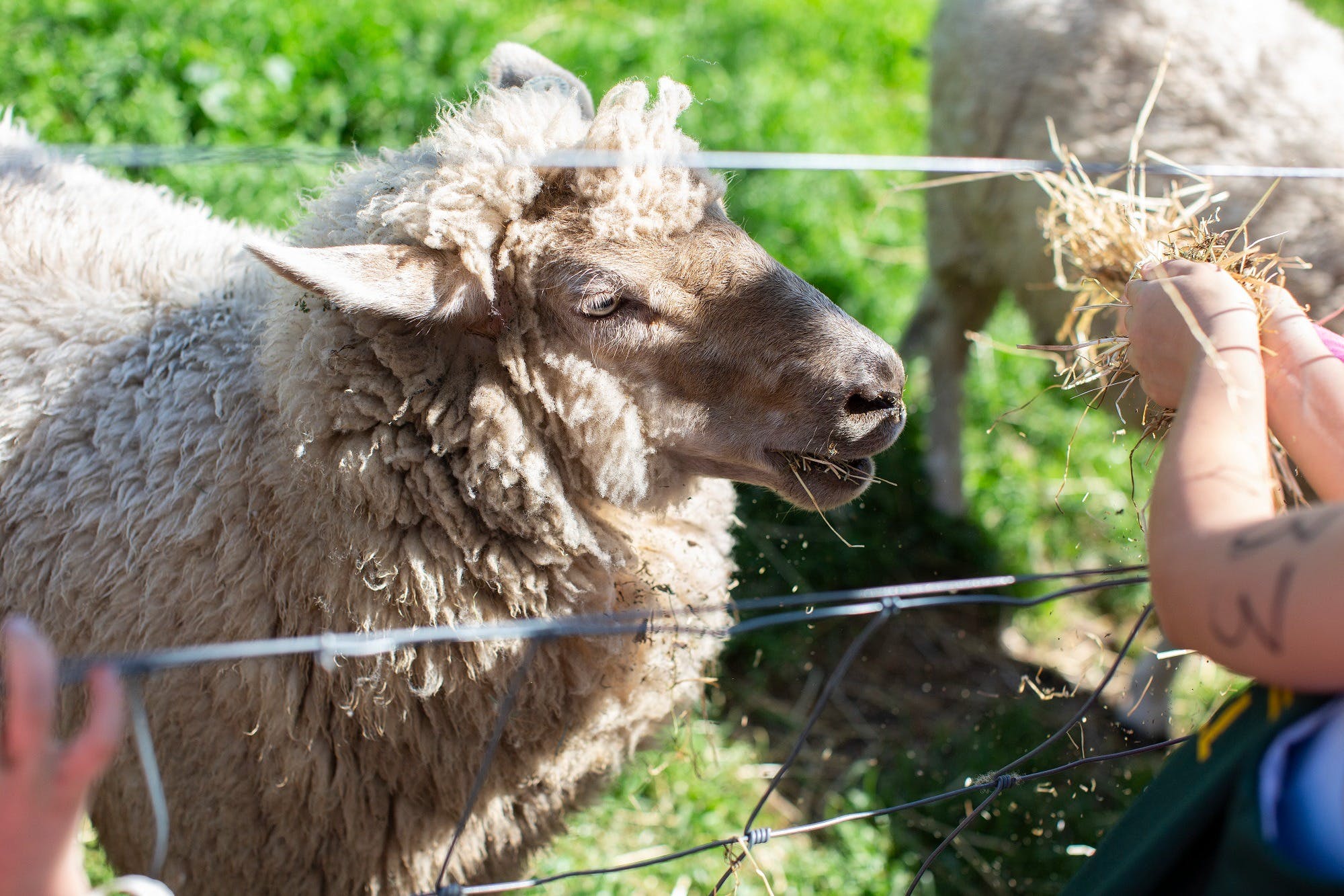 D5700Aa95029B301B75D7Cd0C43F7F59