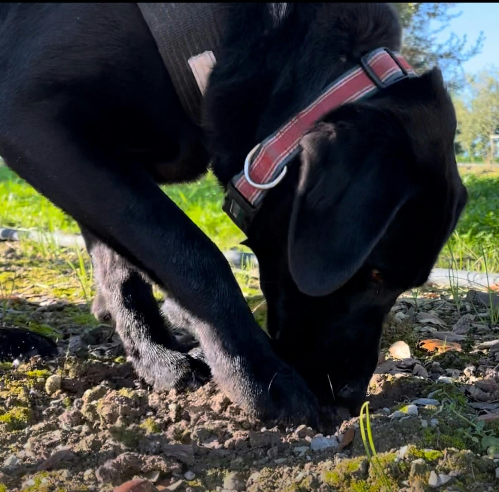 D9488C3D09Ccd587237535D873A156A6