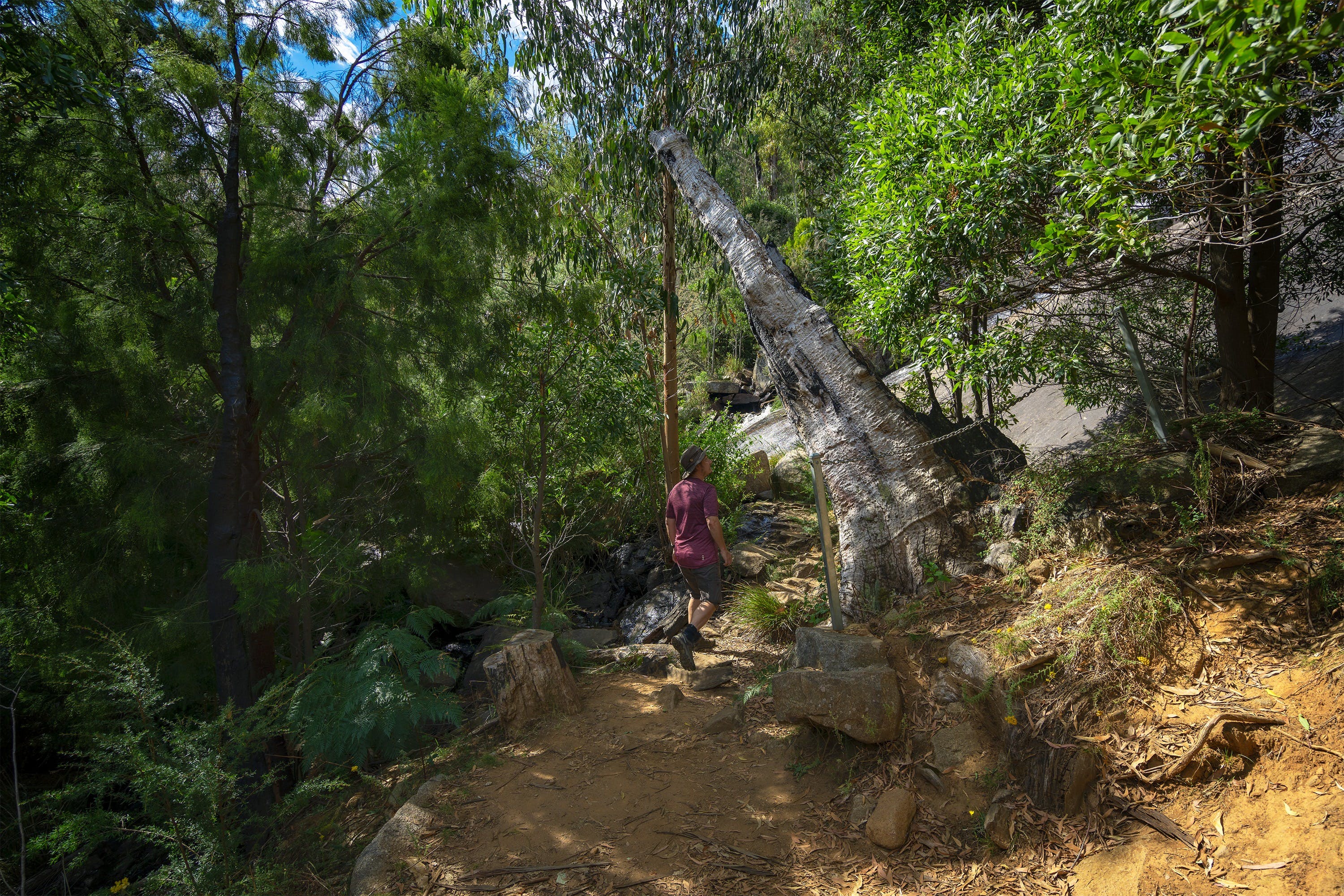 D9A45E550B7591E876622309D6723B88