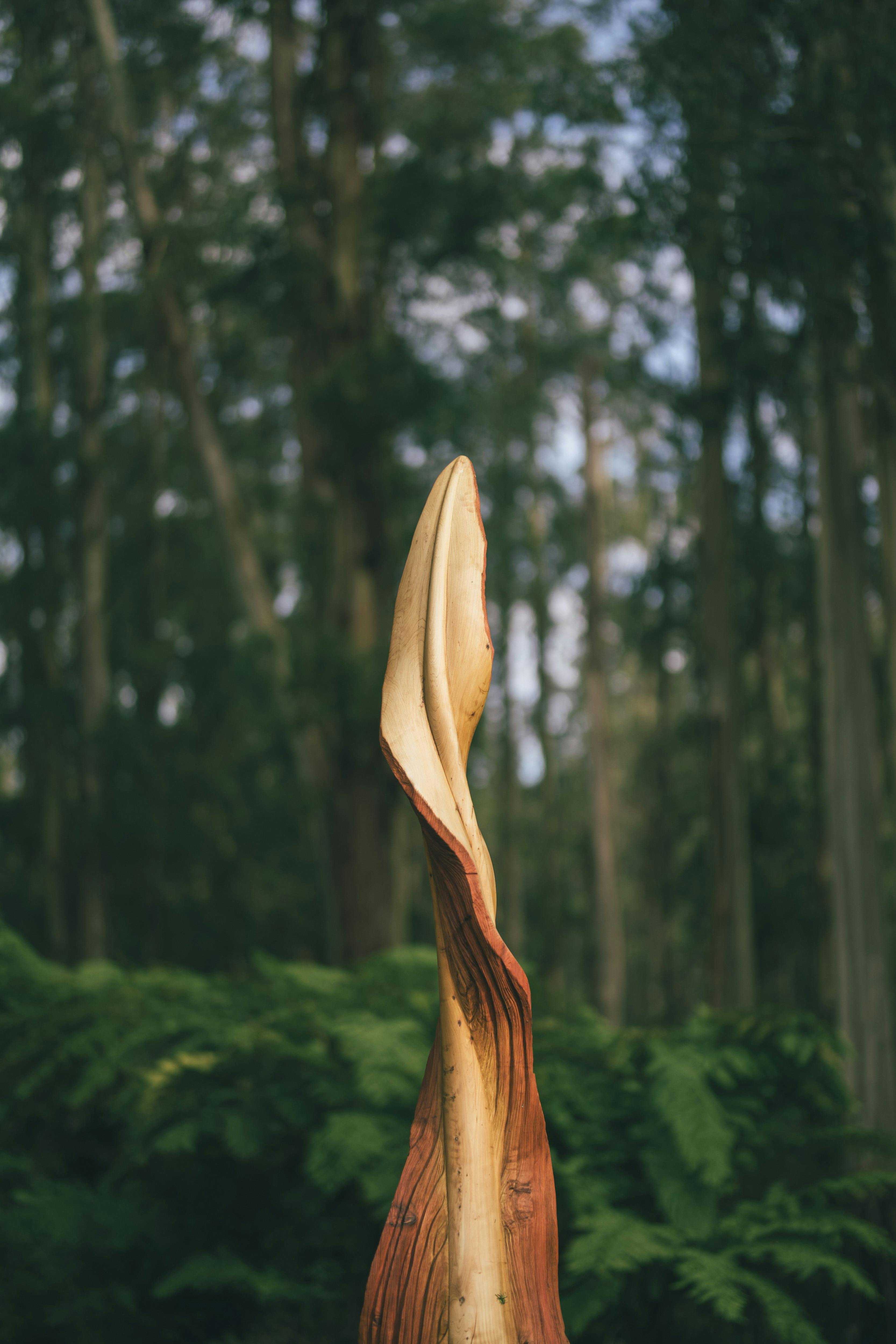 Daef28C510341A161Dcf79C64348B84F