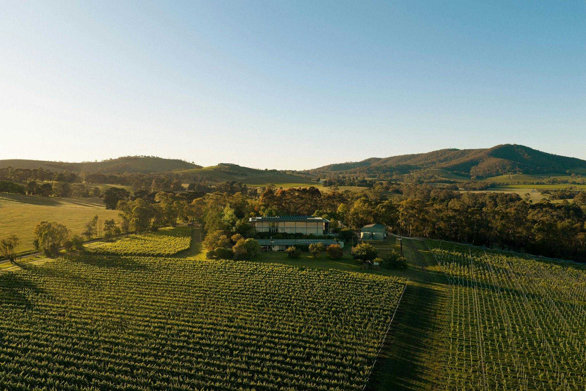 Ddb261F9Aa9Bc57Cb63983D1Fe7C6617