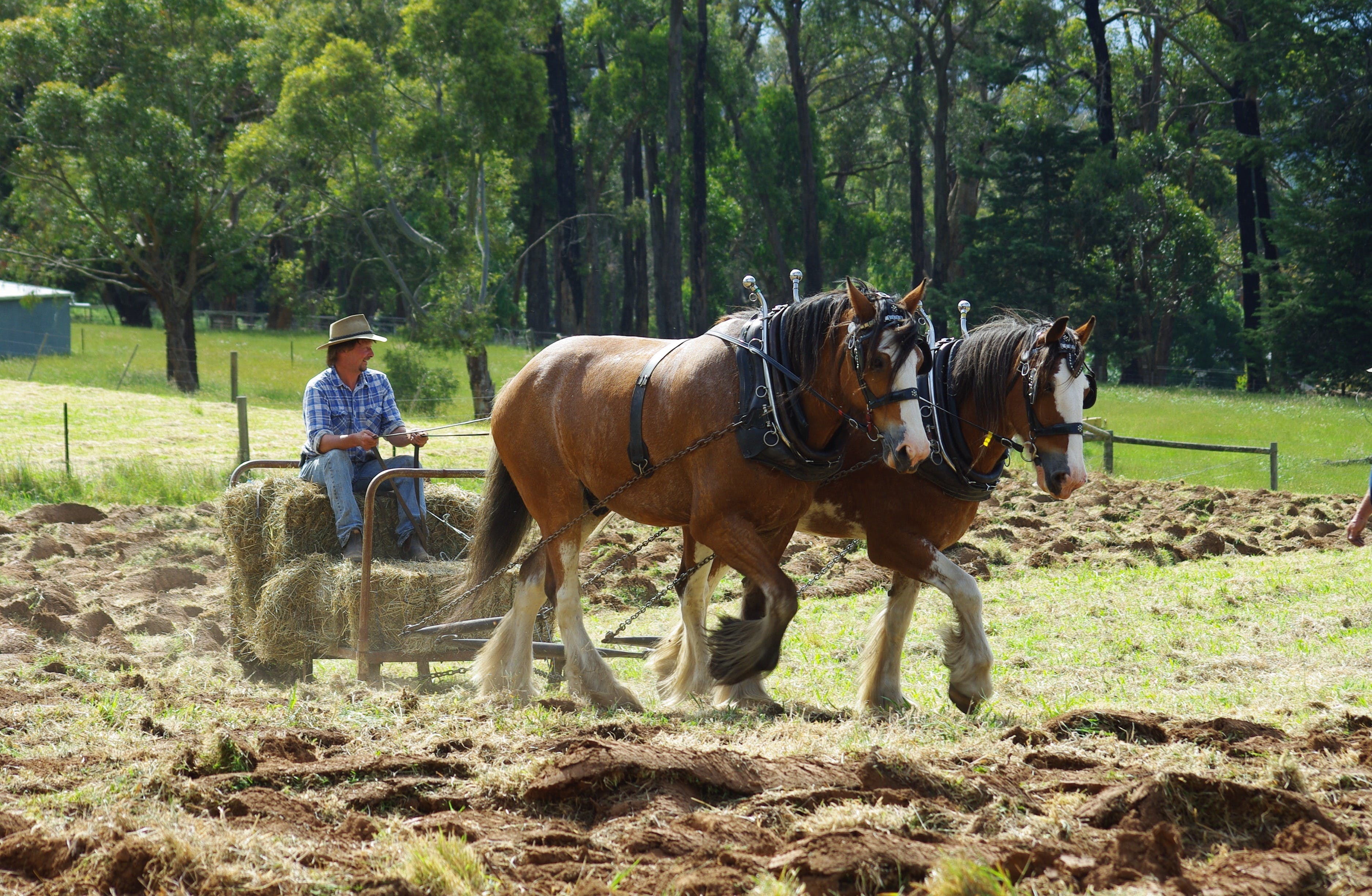 Dffbedce78Abe7F335A09040D65Fb508