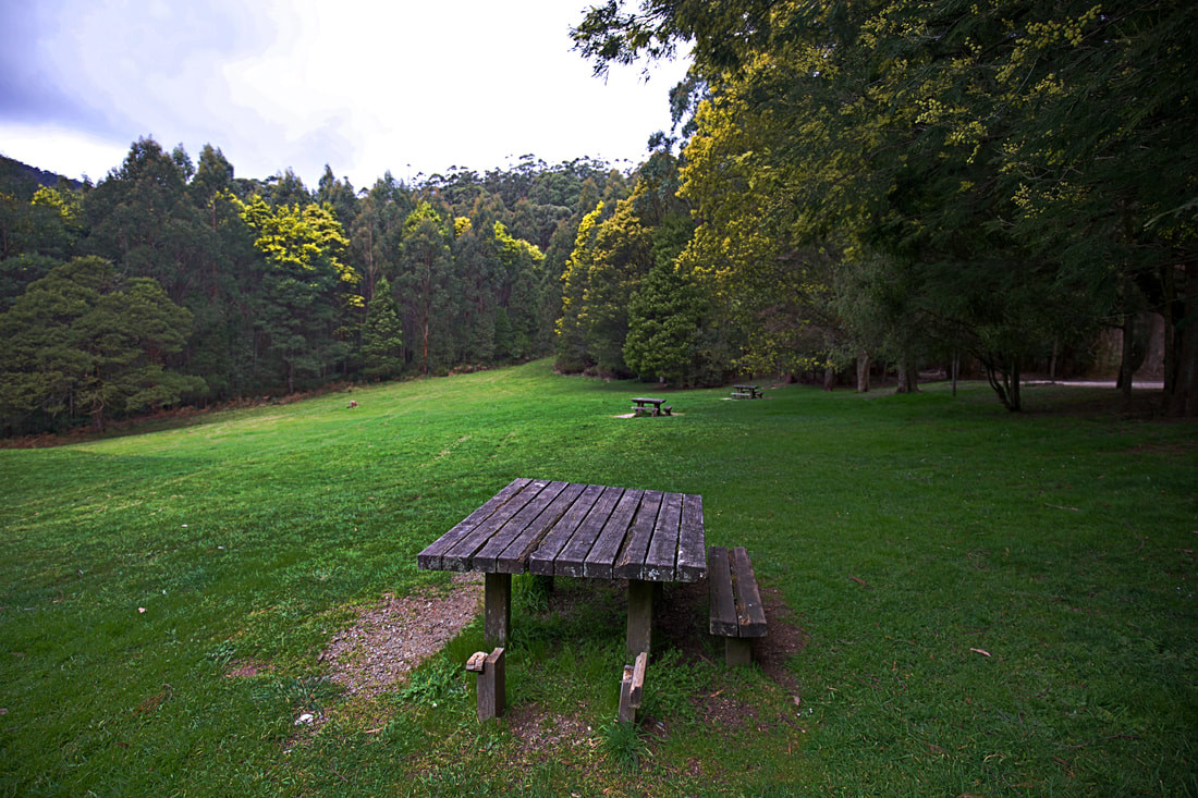 Dom dom saddle fernshaw