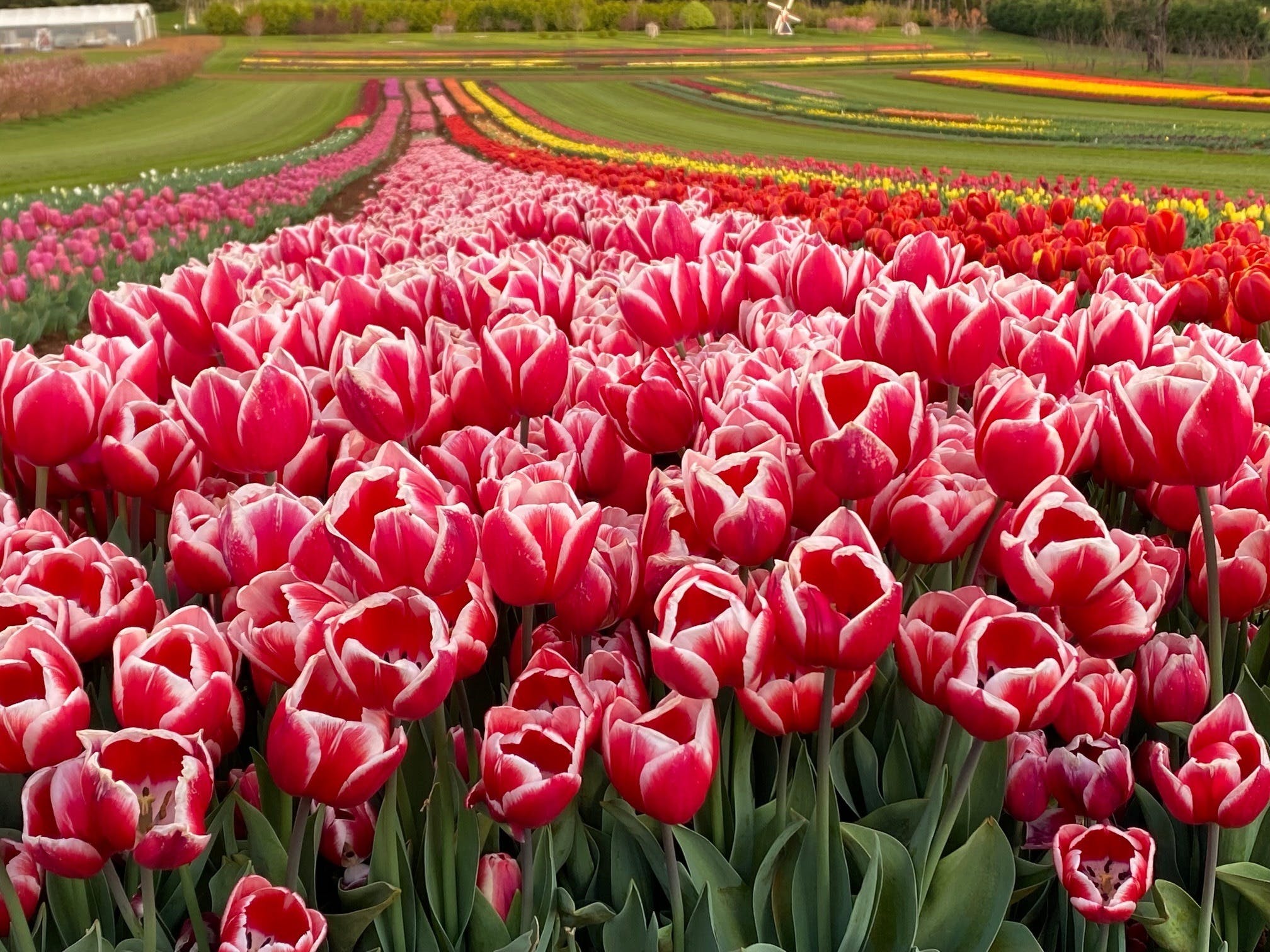 E01Dc83E117F3Fe29Ad4975A9D30Cf3E