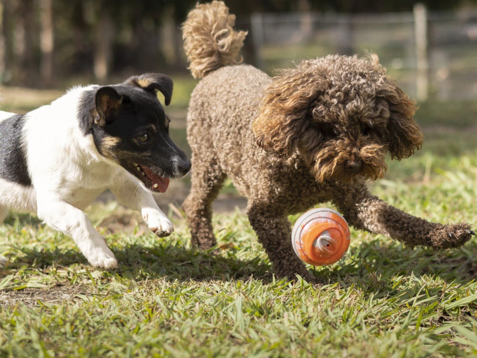 E0632A47F365E4A2Bdb95B00Ce9E7B25