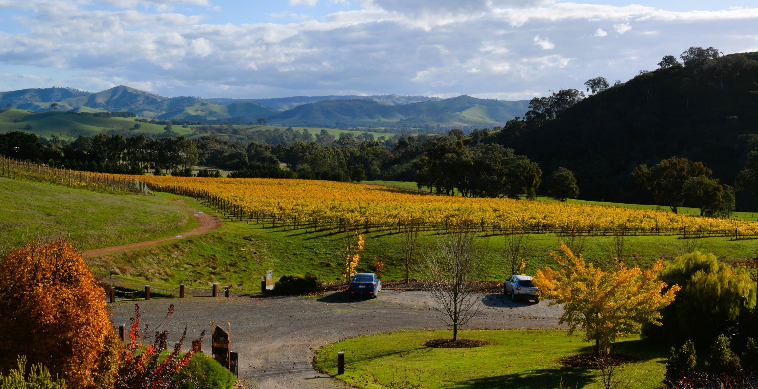 E1F9023F33B99A3B762A5618E6De6683