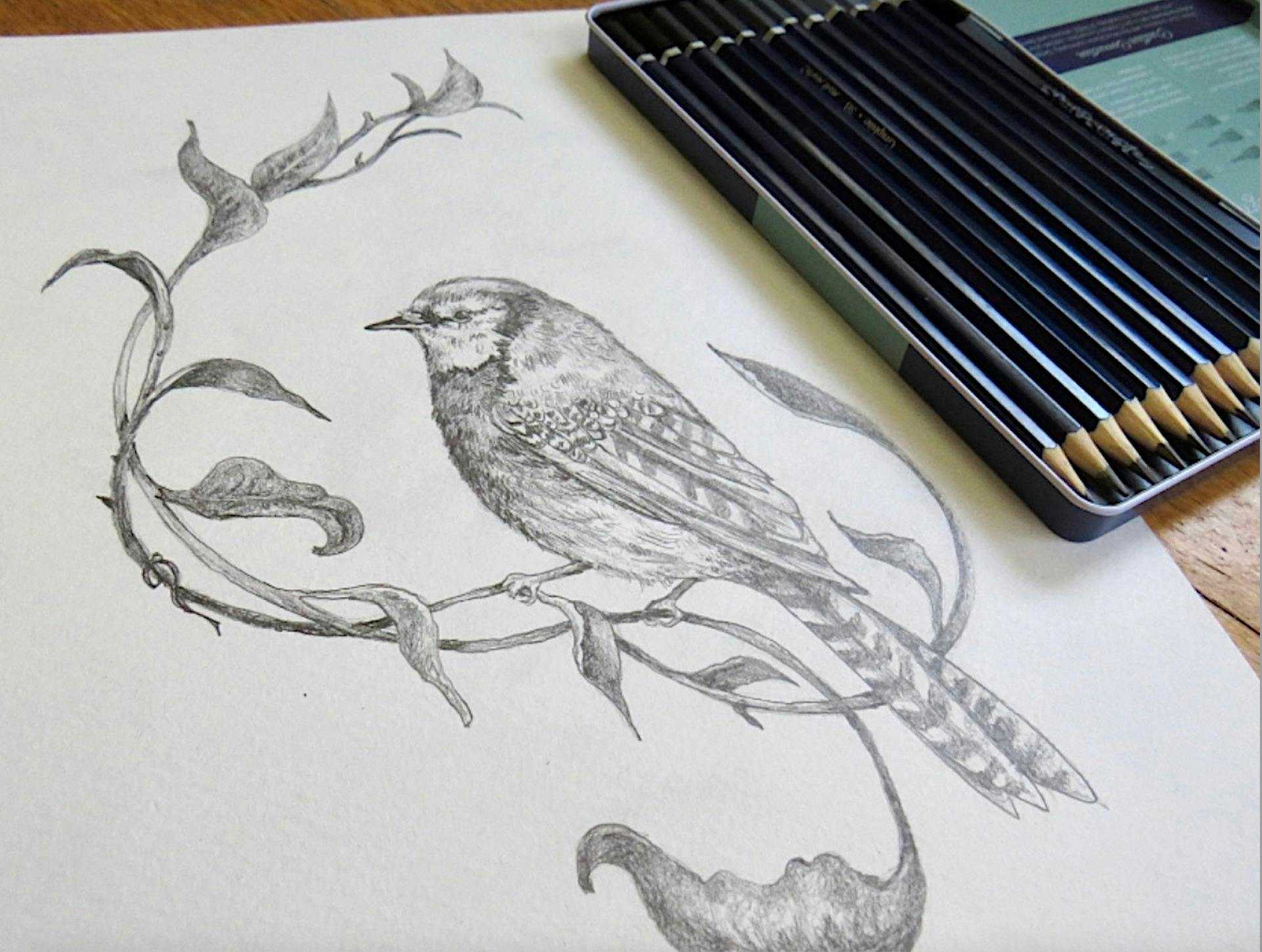 E1Fabd1Bbdf694Dd557C3A44E7B53Ecc