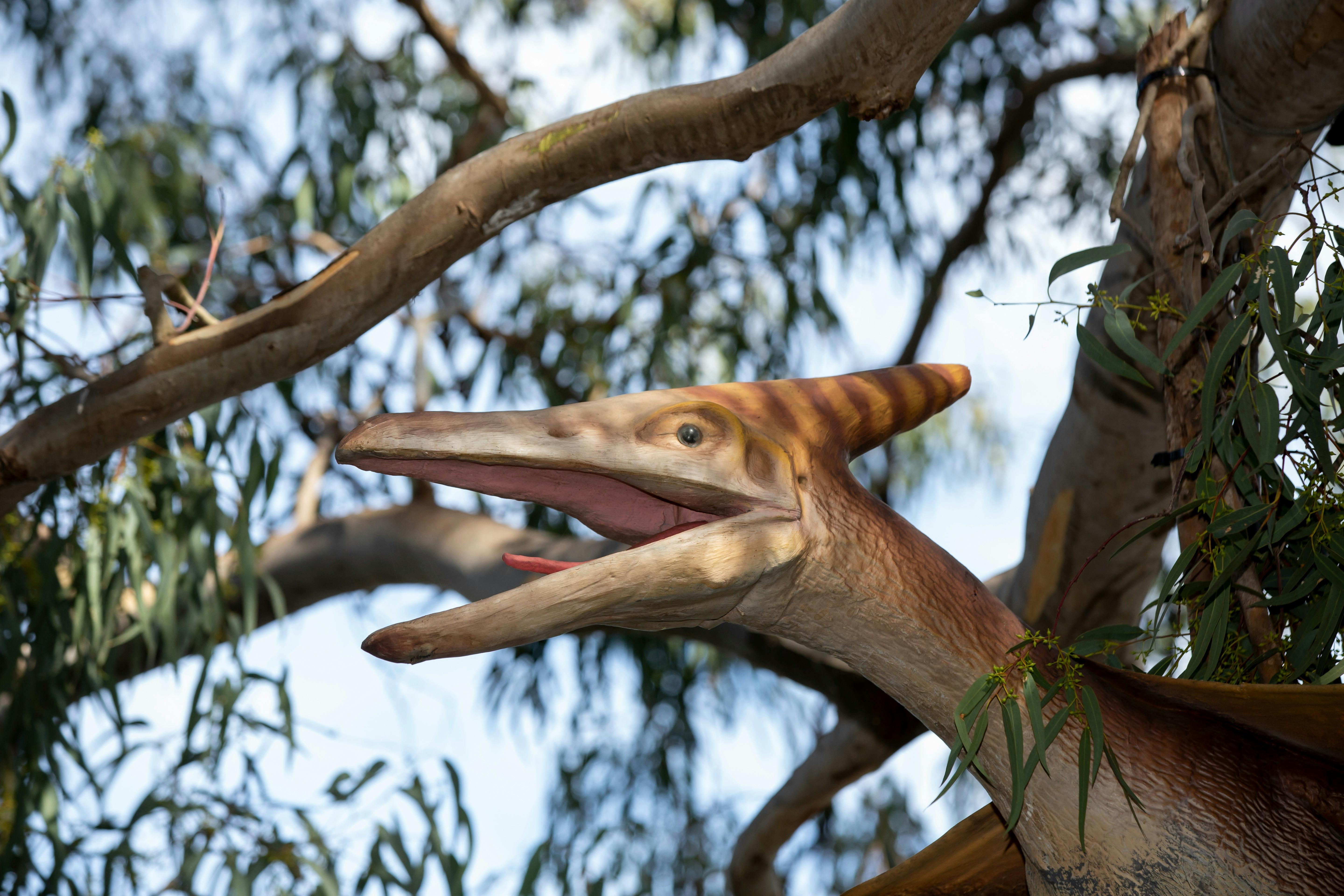 E2581D9102Deb975534E8F3A6C6F2F9E