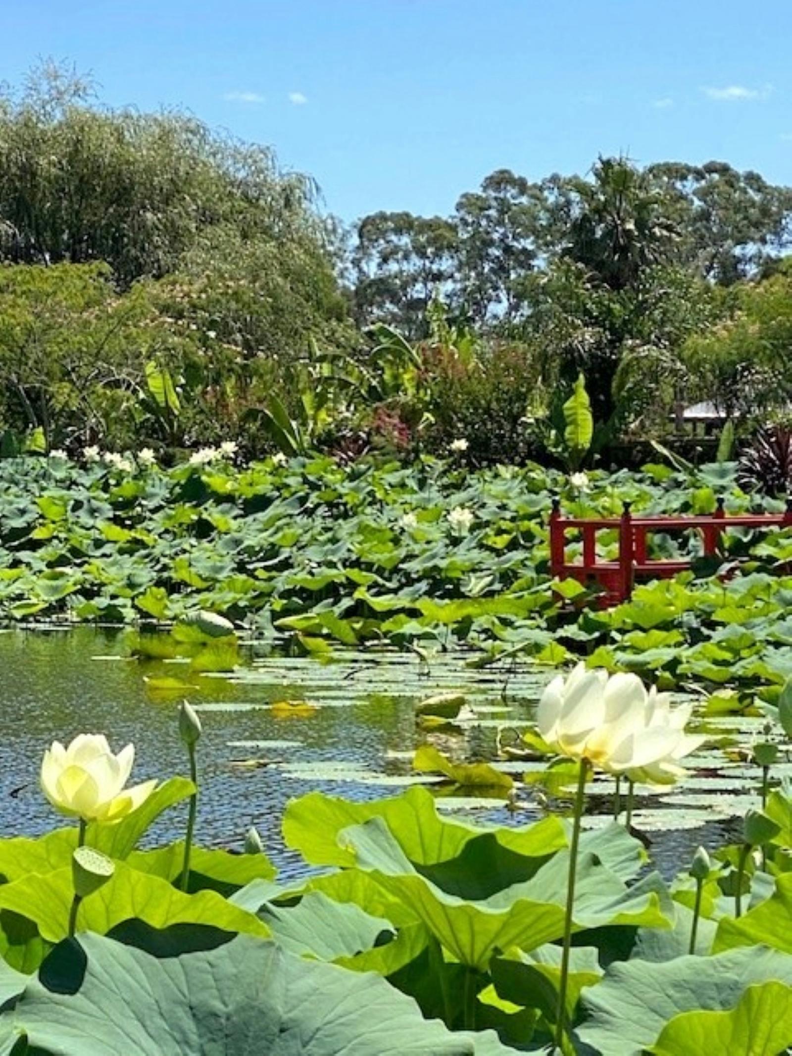 E31Aba28Edeb0721932A6D94B0E906Bd