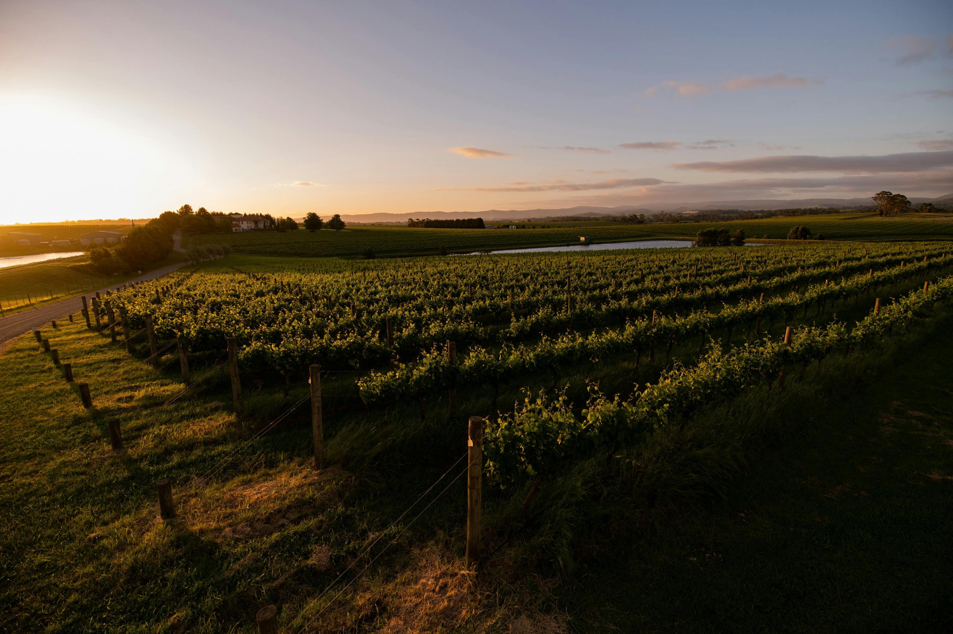 E3Dd35F47C34Be0Cd17591704916Cec0_Qu5E4Rz