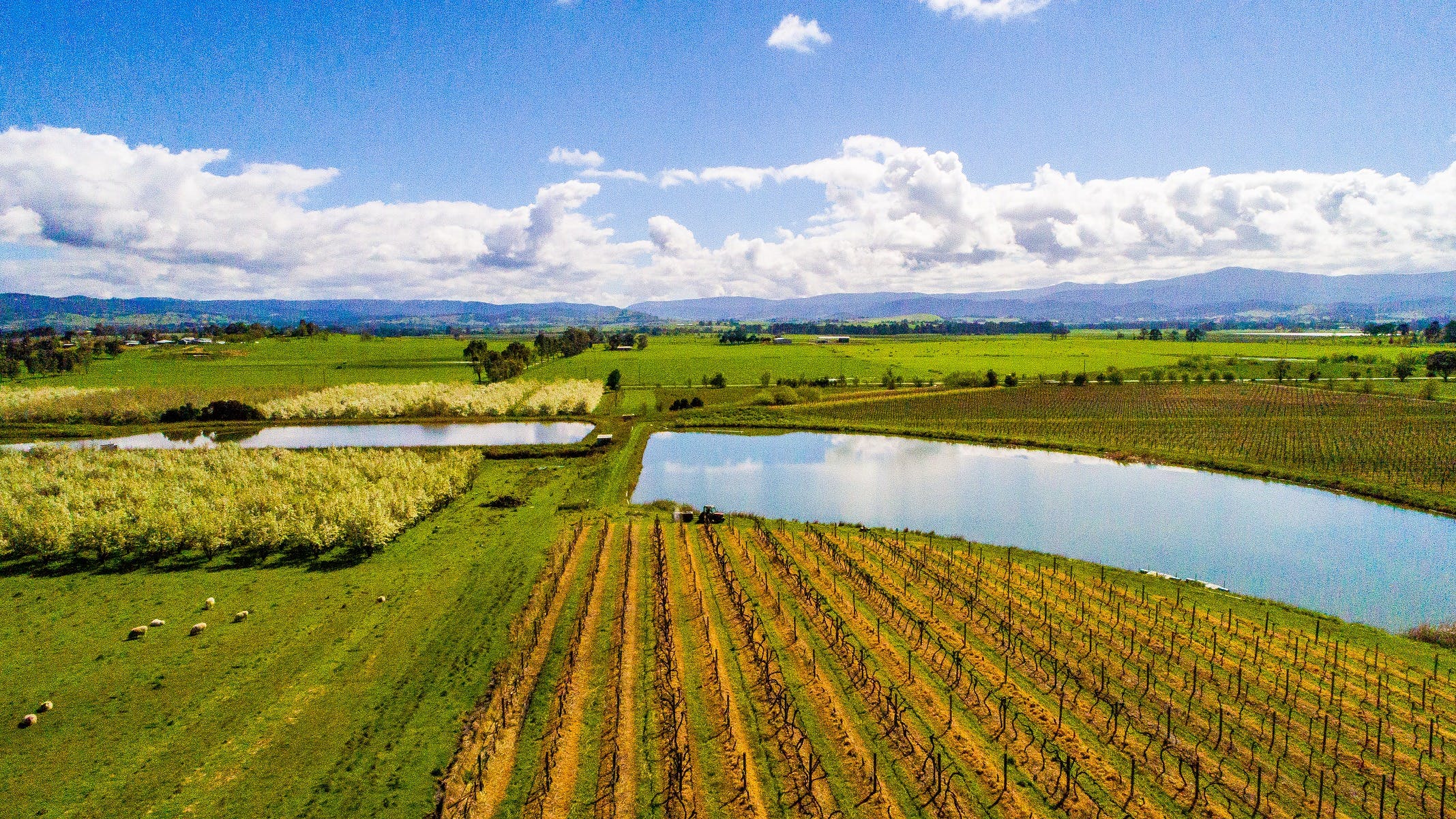 E3Fbde9A669Dfea955C2A2C340E69145