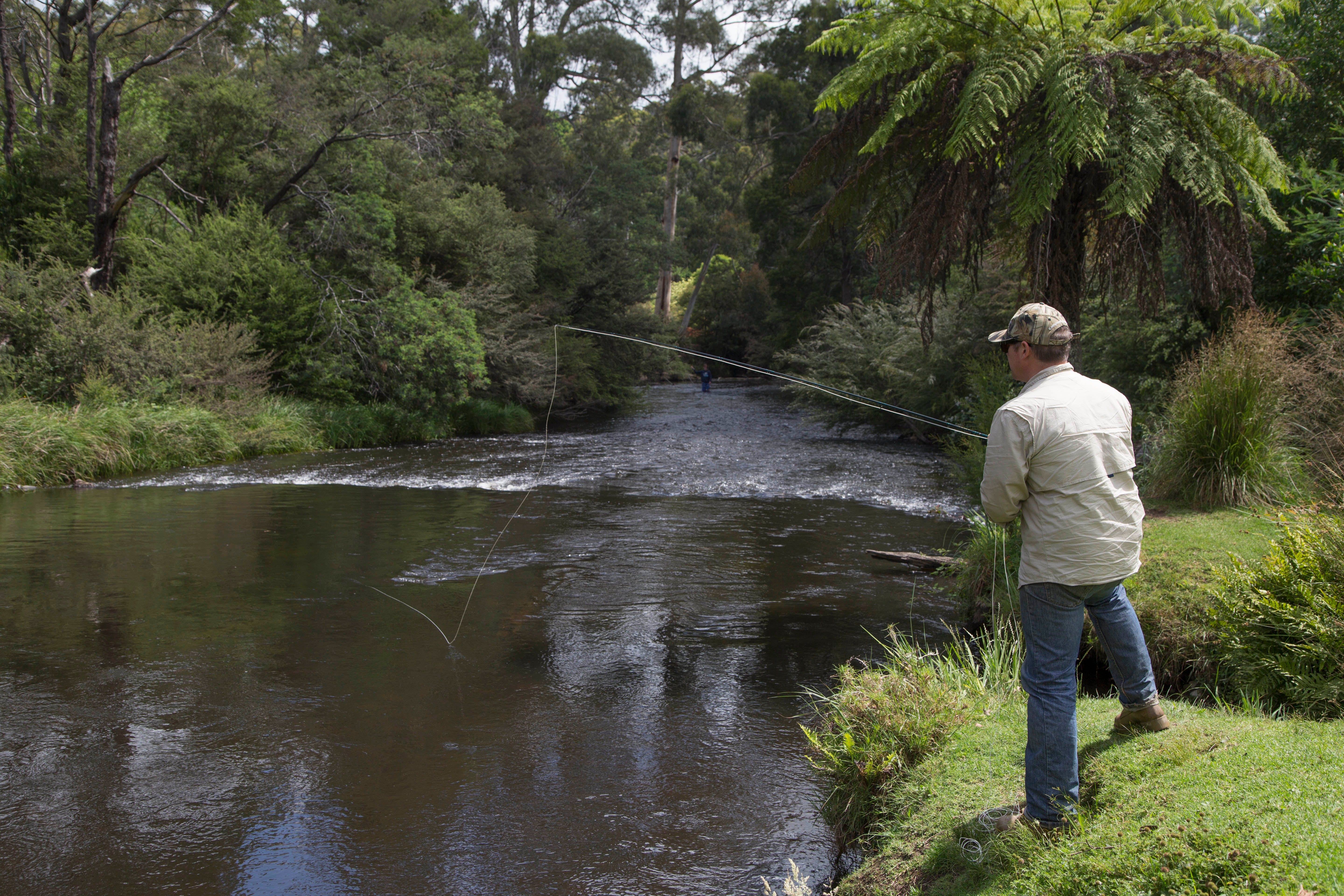 E4532235B3Afd2F3E2Ba28D01E91Dd0F