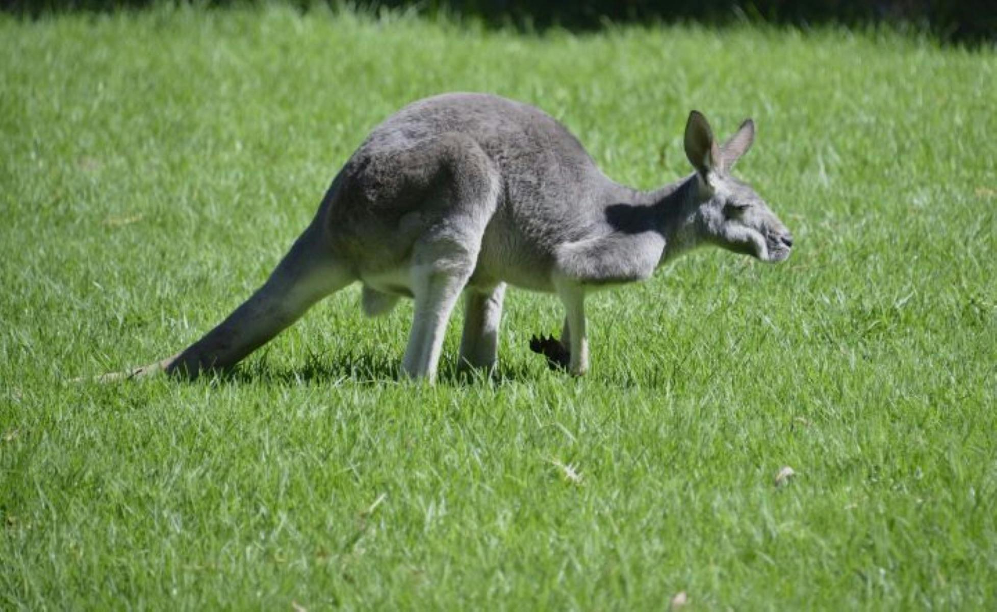 E69Dc0973Cc57Bfd825C7715D98Bbba4