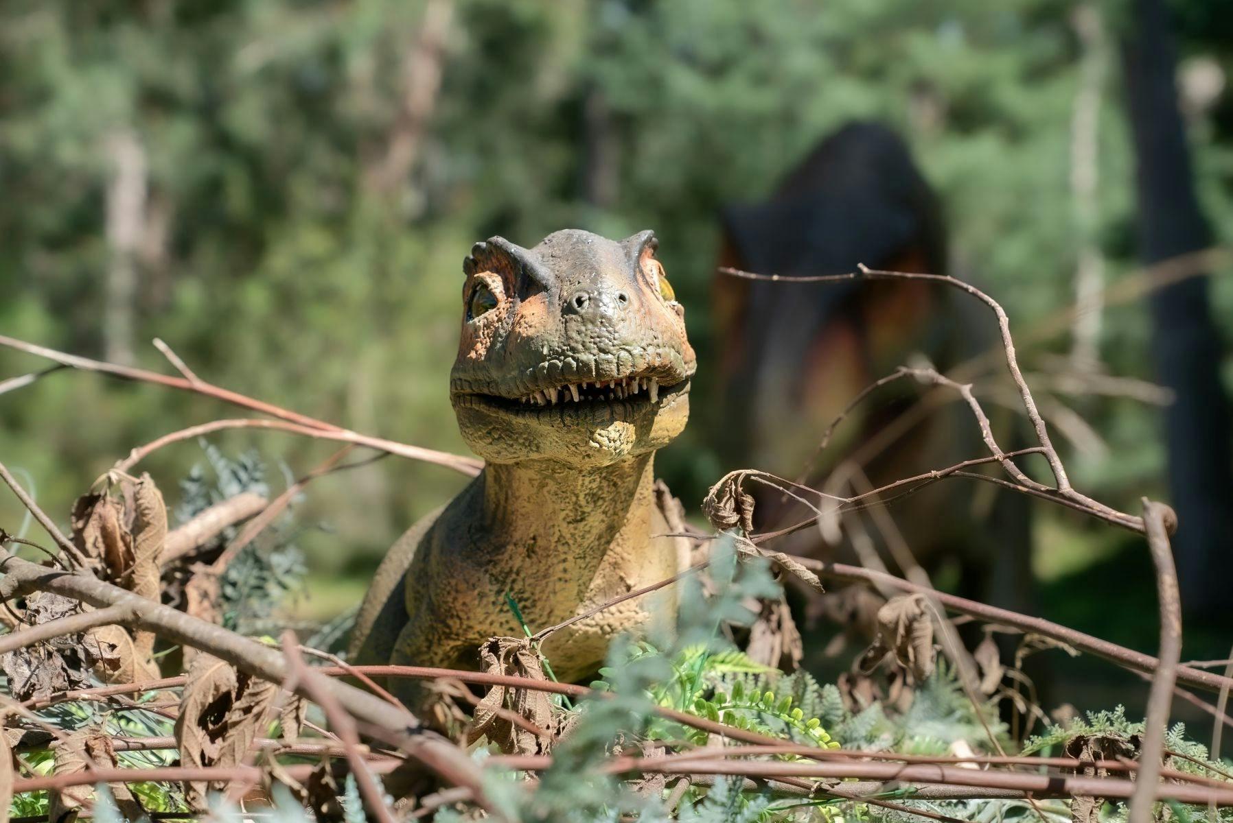 E76924263Db0Daf60B8F39B97510C64F