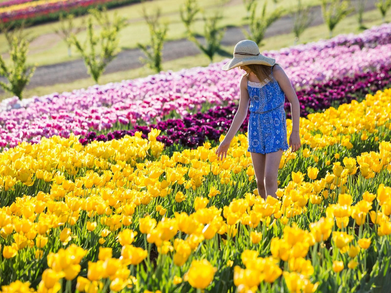 E9251F30931C97A7726B9Ea1F27F7Abc