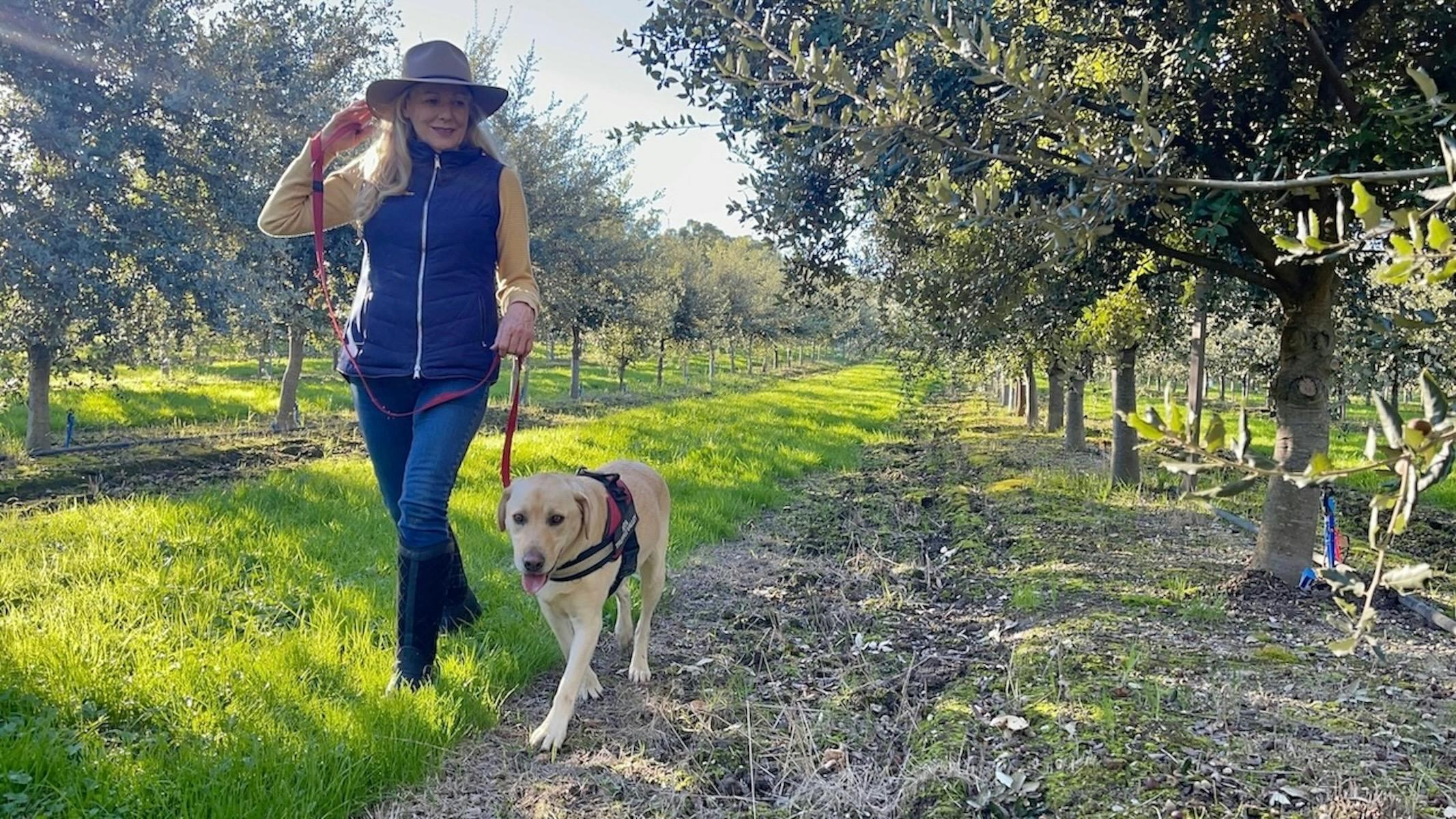 E99Daa6Bec226C3488Bfcf9F3Edb9941