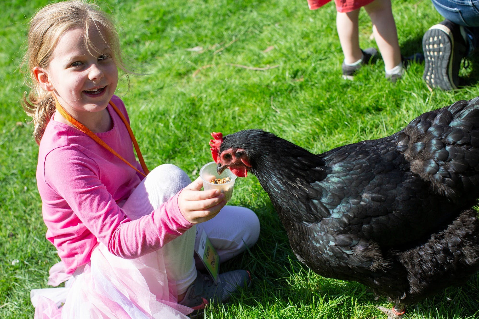 Ea35Dfcd051E6C3902601Ed88F6B4919