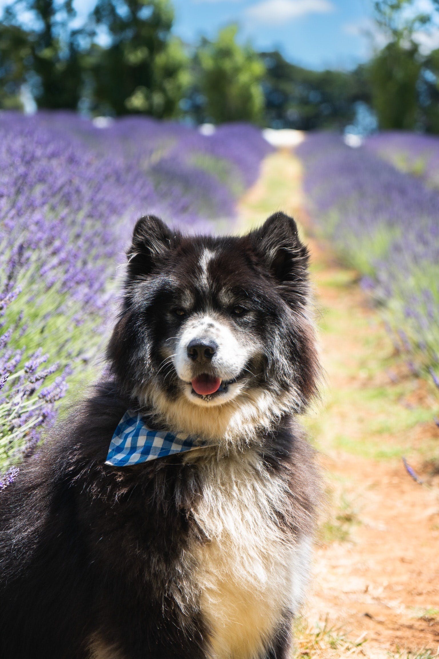 Eb04C39F998Ebe8Fad26A8B2Ab9892Ee