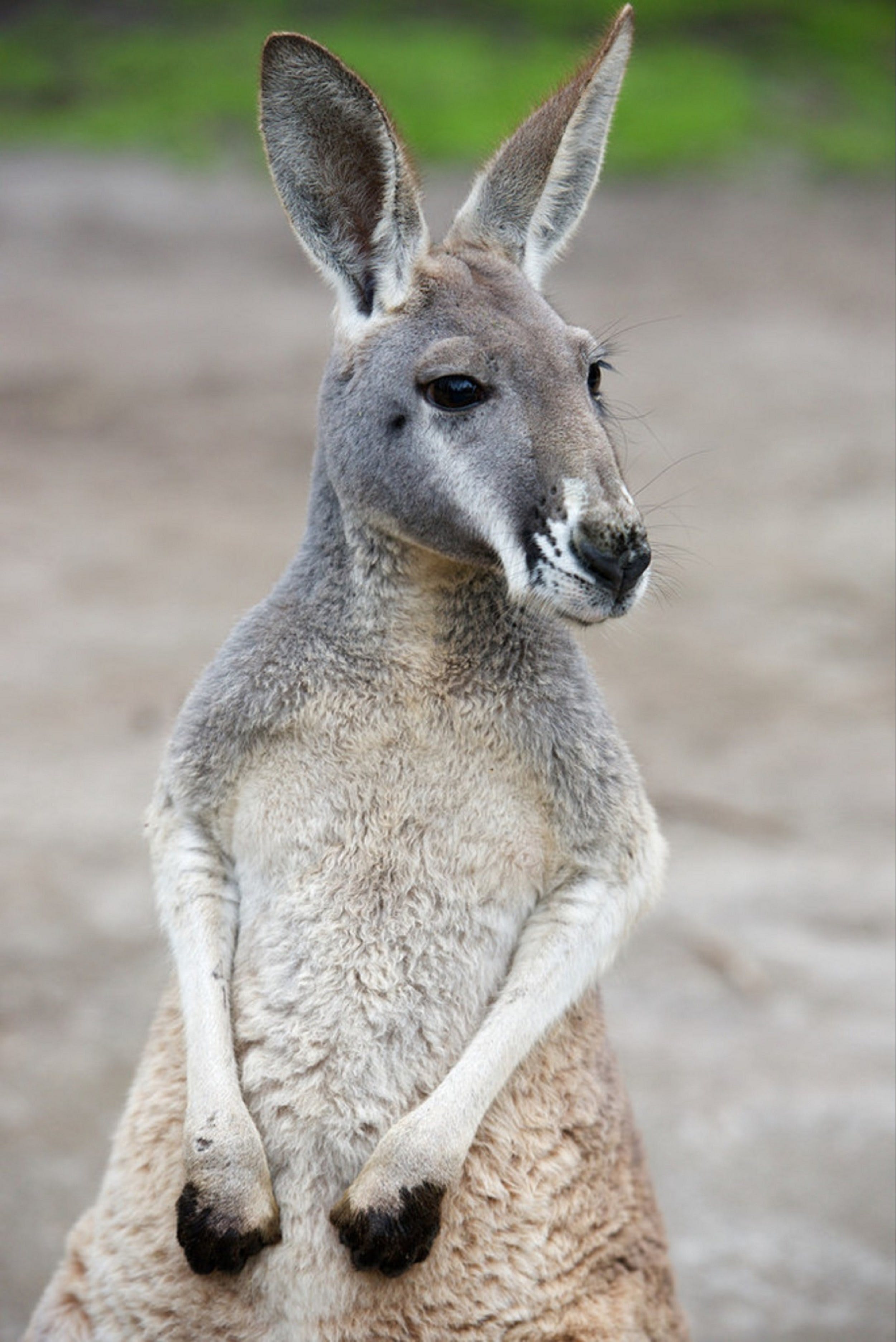 Eb56D5Decc07Adee209Ef80Bdb988885