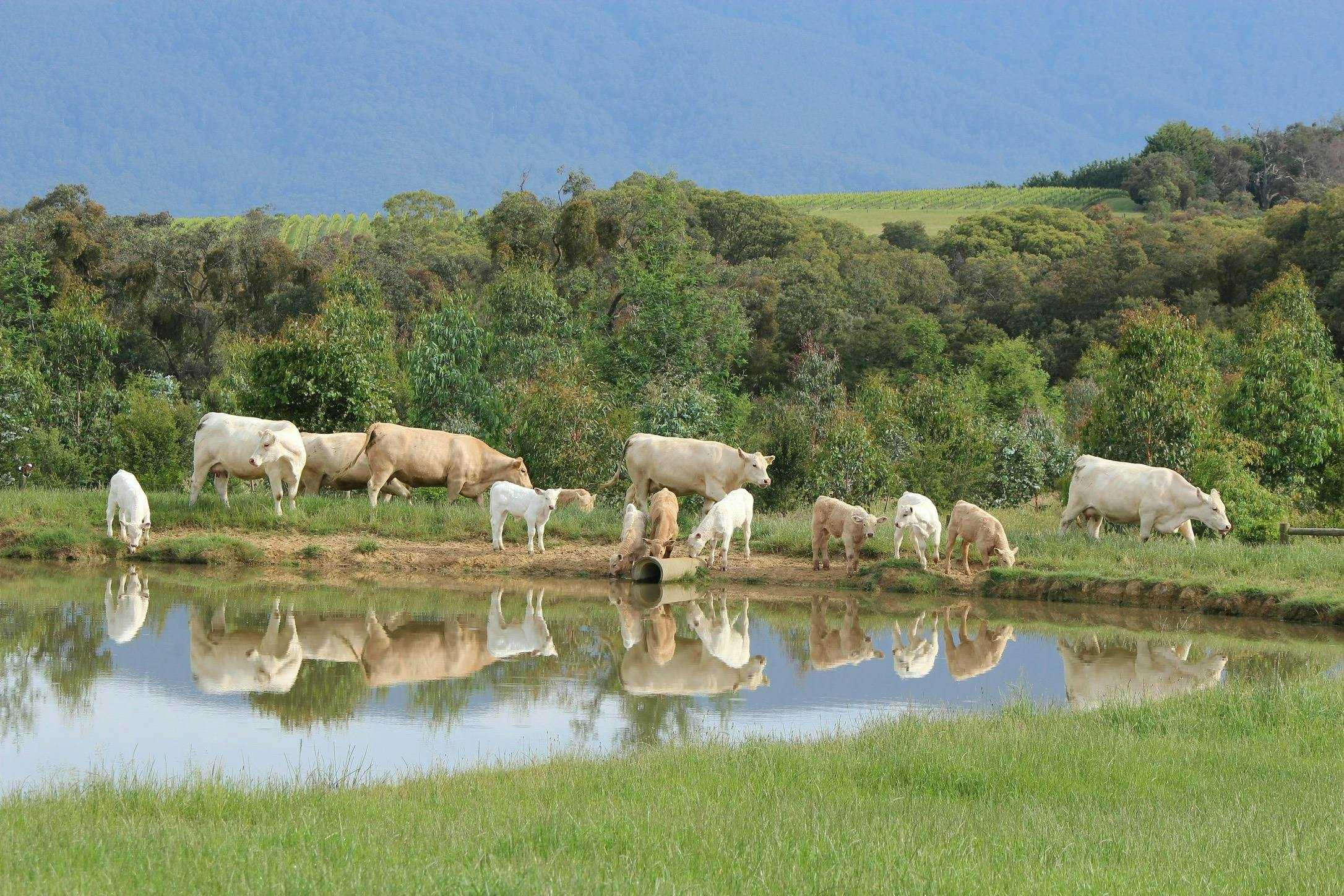 Ed0A720C276C1A51B122E3591B3135B8