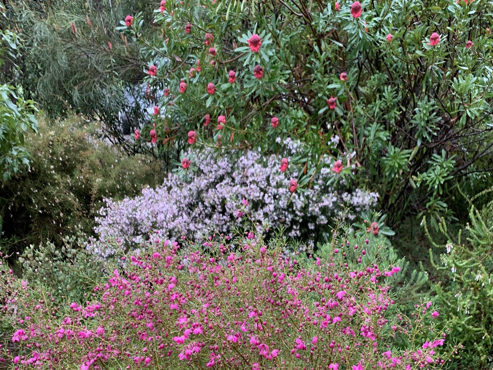 Ed498A81E5A8B8A37Cadd4004Efd57E4