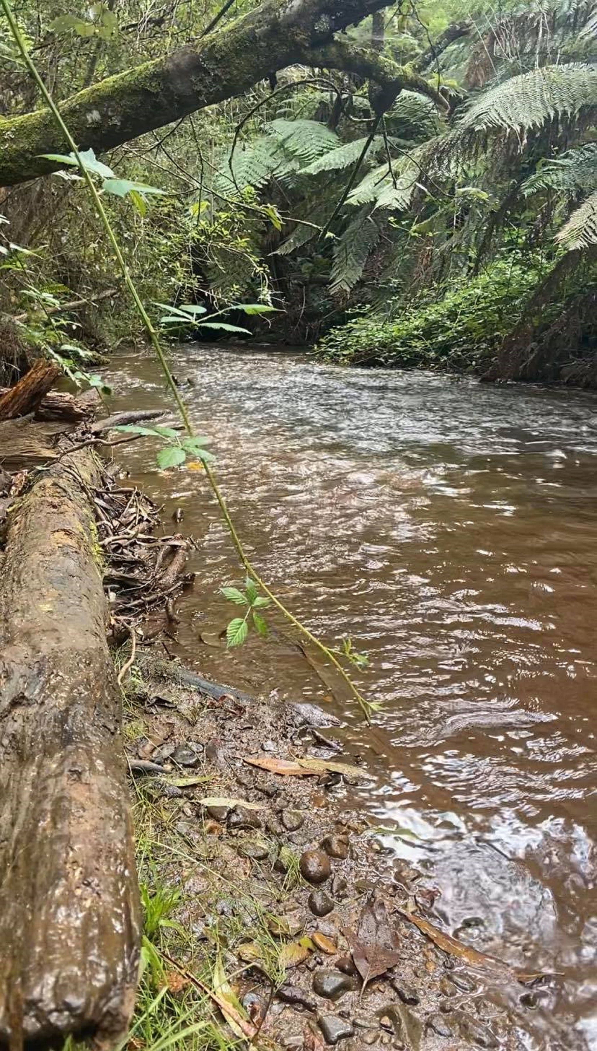 Ee0Ea6Ee06E9B6Ec09144E2A93664383