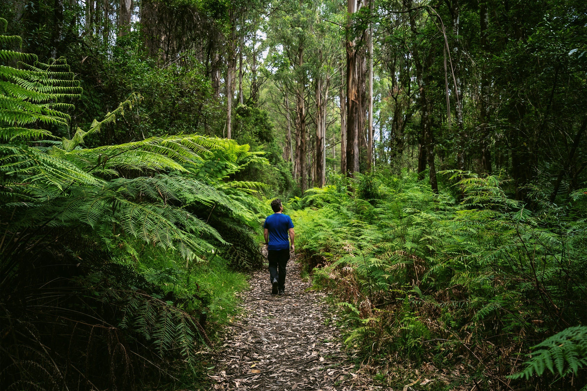 F24C7Decdcc26D5Dabde45802A8E5Fa7