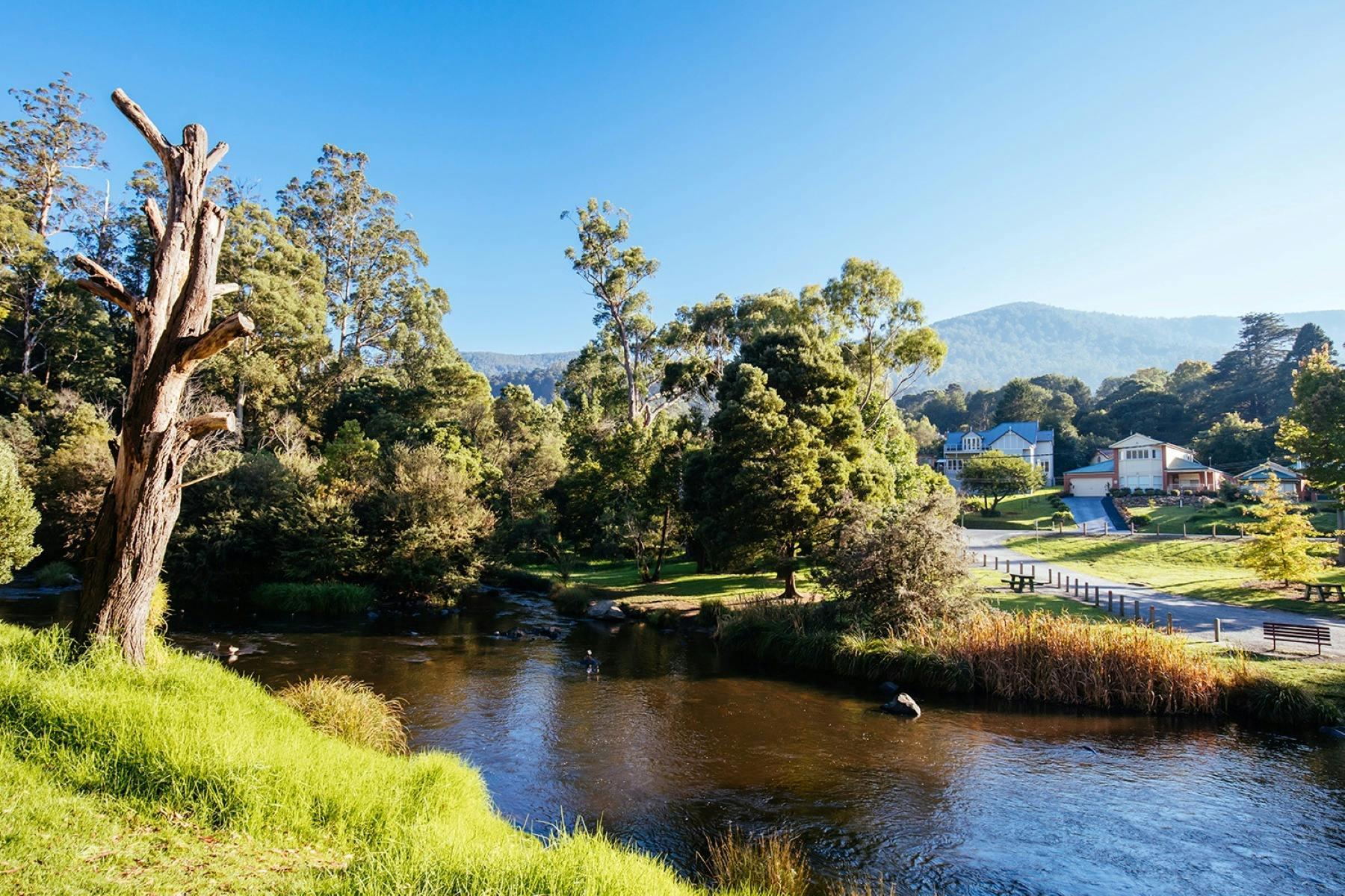 F2E811B982E86E8C48355F35D41Bd1F5