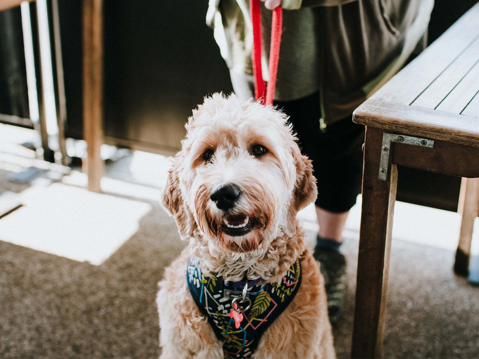 F3D67A16F40Ee9D8Dda48468186887Bc